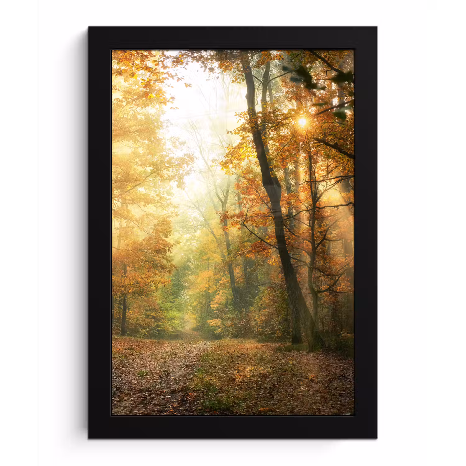 Bos - Herfst - Zon - Landschap - Natuur - Bomen - Bladeren fotolijst zwart zonder passe partout klein -3d