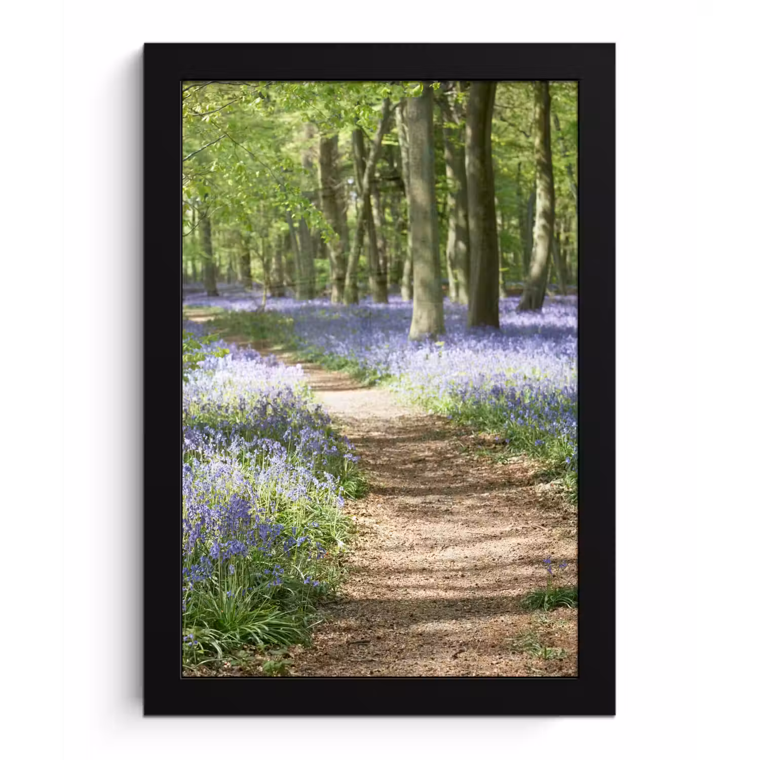 Bos - Pad - Bloemen - Paars - Groen - Natuur fotolijst zwart zonder passe partout klein -3d