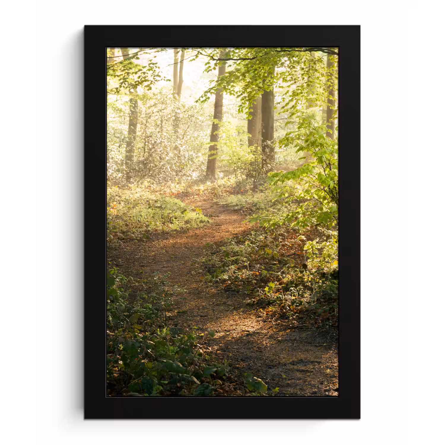 Bos - Bomen - Pad - Zon - Planten - Bladeren - Natuur fotolijst zwart zonder passe partout klein -3d