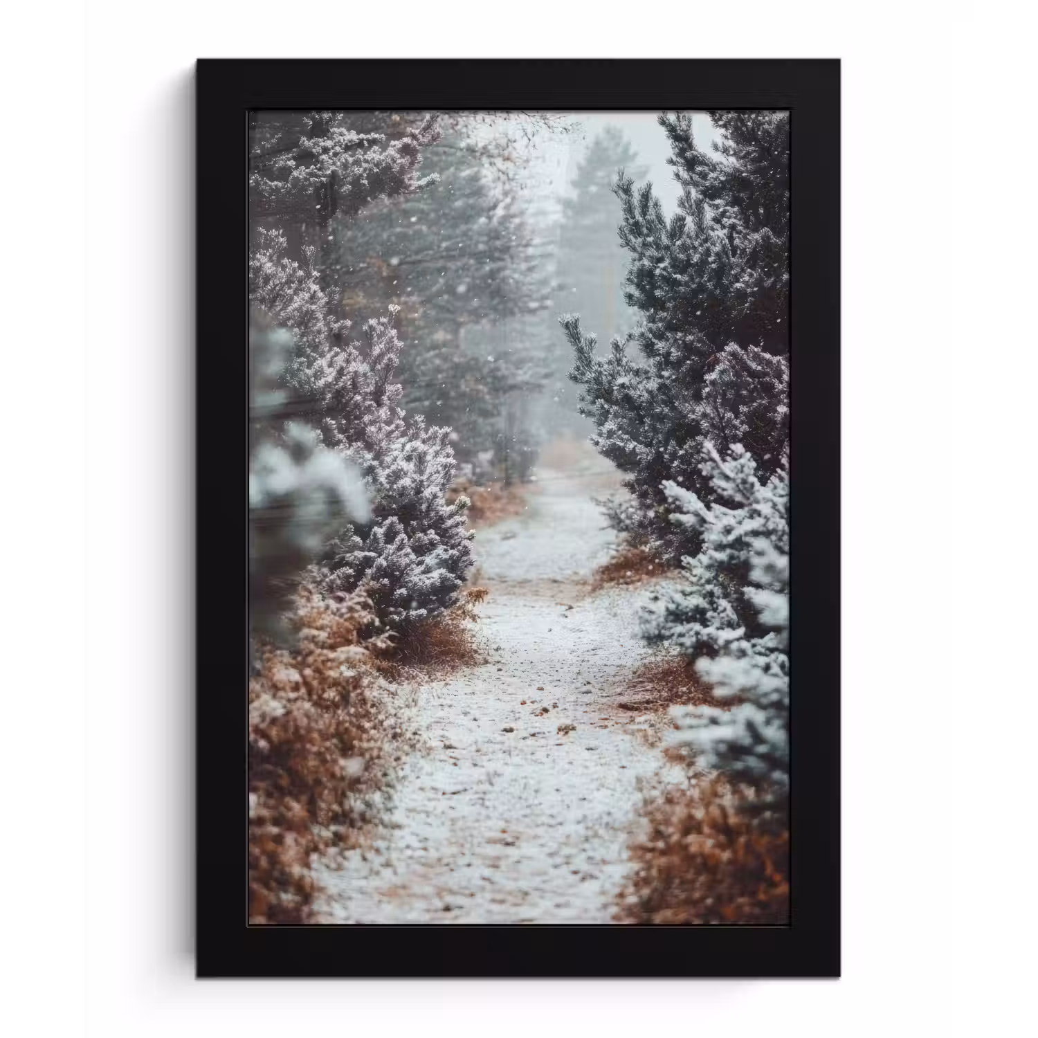 Bos - Winter - Bomen - Natuur - Pad - Sneeuw fotolijst zwart zonder passe partout klein -3d
