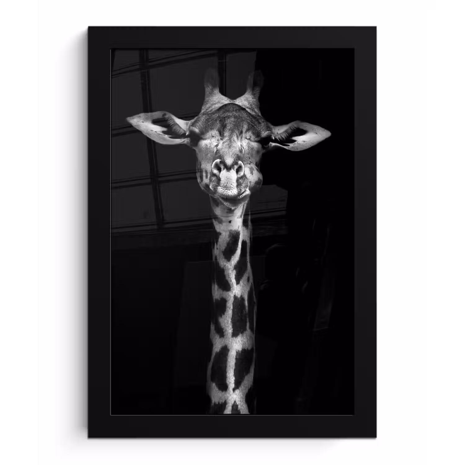 Giraffe - Portret - Dieren - Zwart - Wit fotolijst zwart zonder passe partout klein -3d