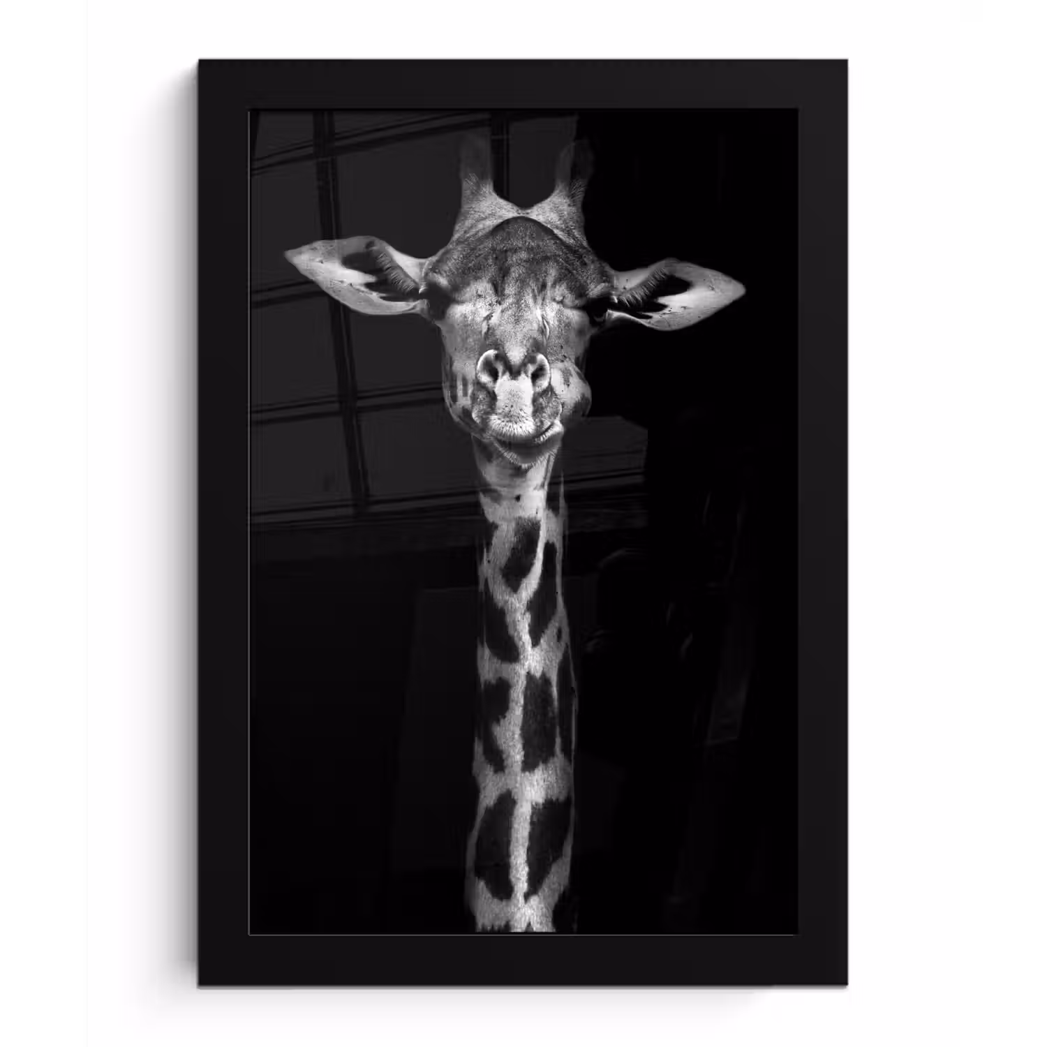 Giraffe - Portret - Dieren - Zwart - Wit fotolijst zwart zonder passe partout klein -3d