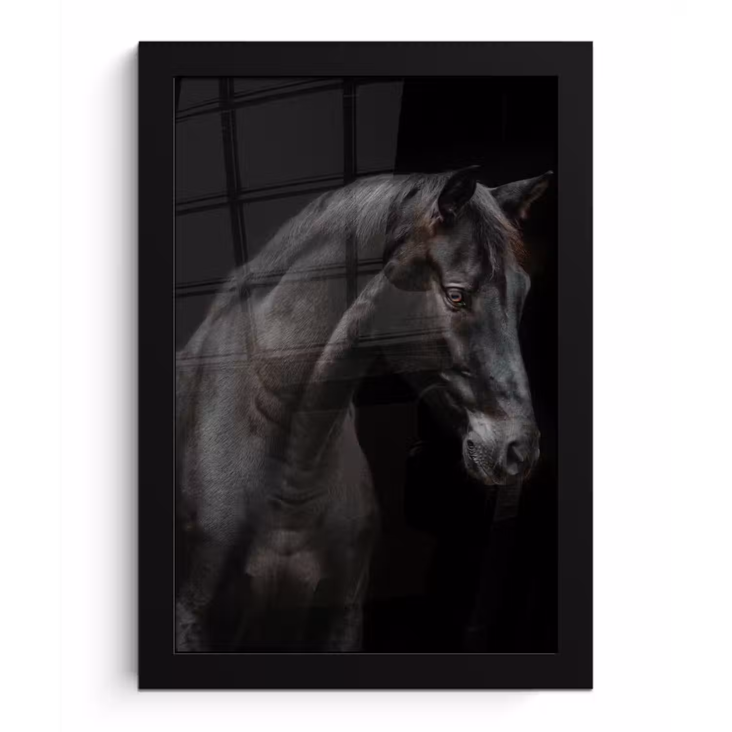 Paard - Dieren - Zwart - Portret fotolijst zwart zonder passe partout klein -3d