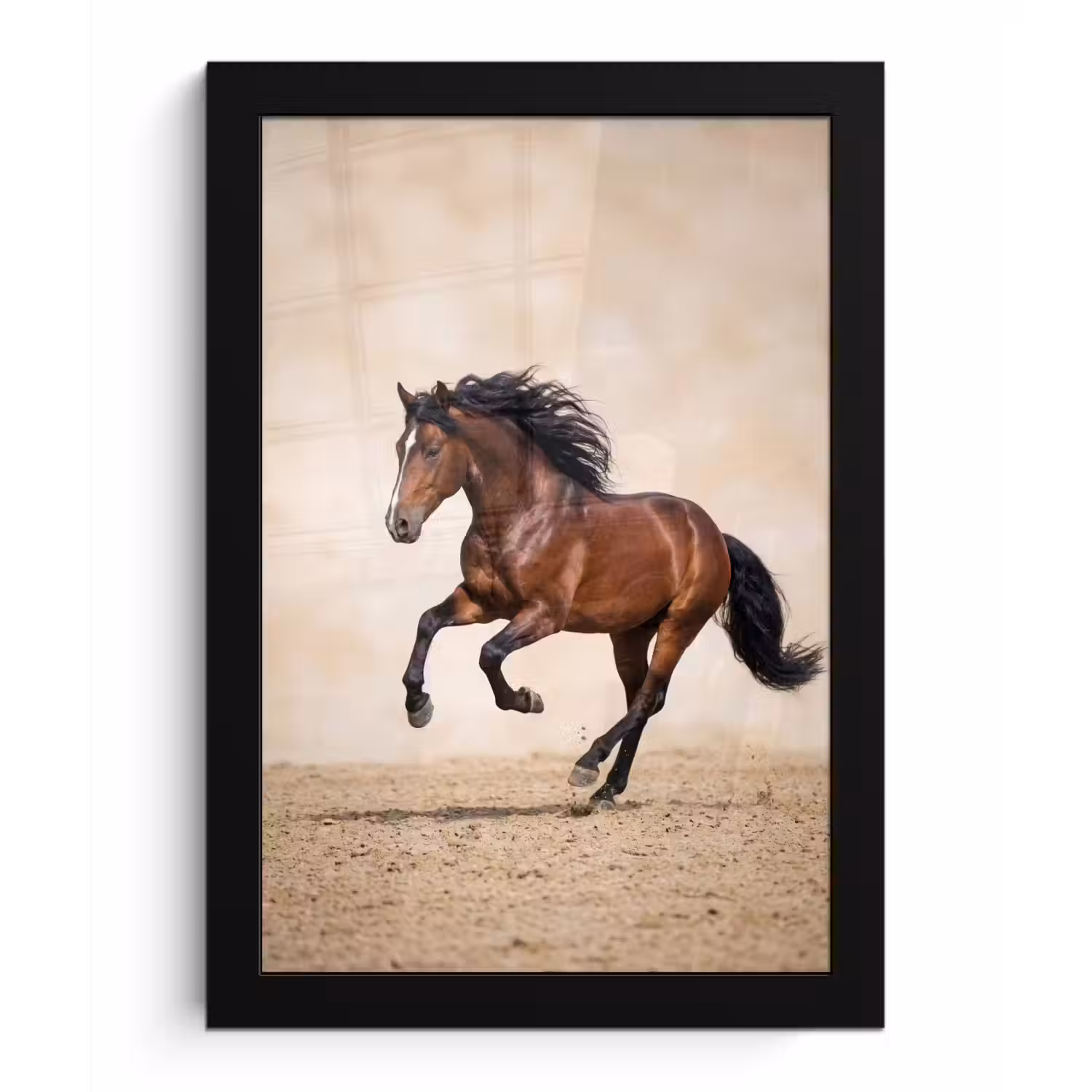 Paard - Galop - Energie fotolijst zwart zonder passe partout klein -3d