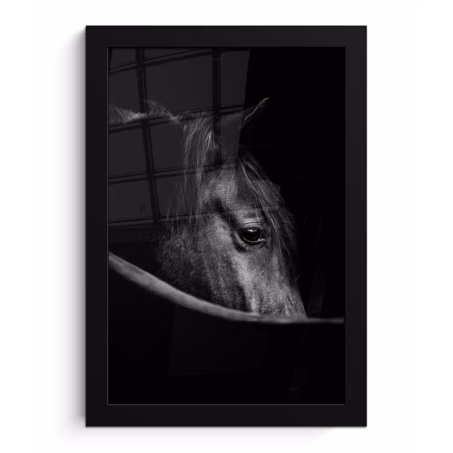 Paarden - Portret - Zwart - Dieren fotolijst zwart zonder passe partout klein -3d