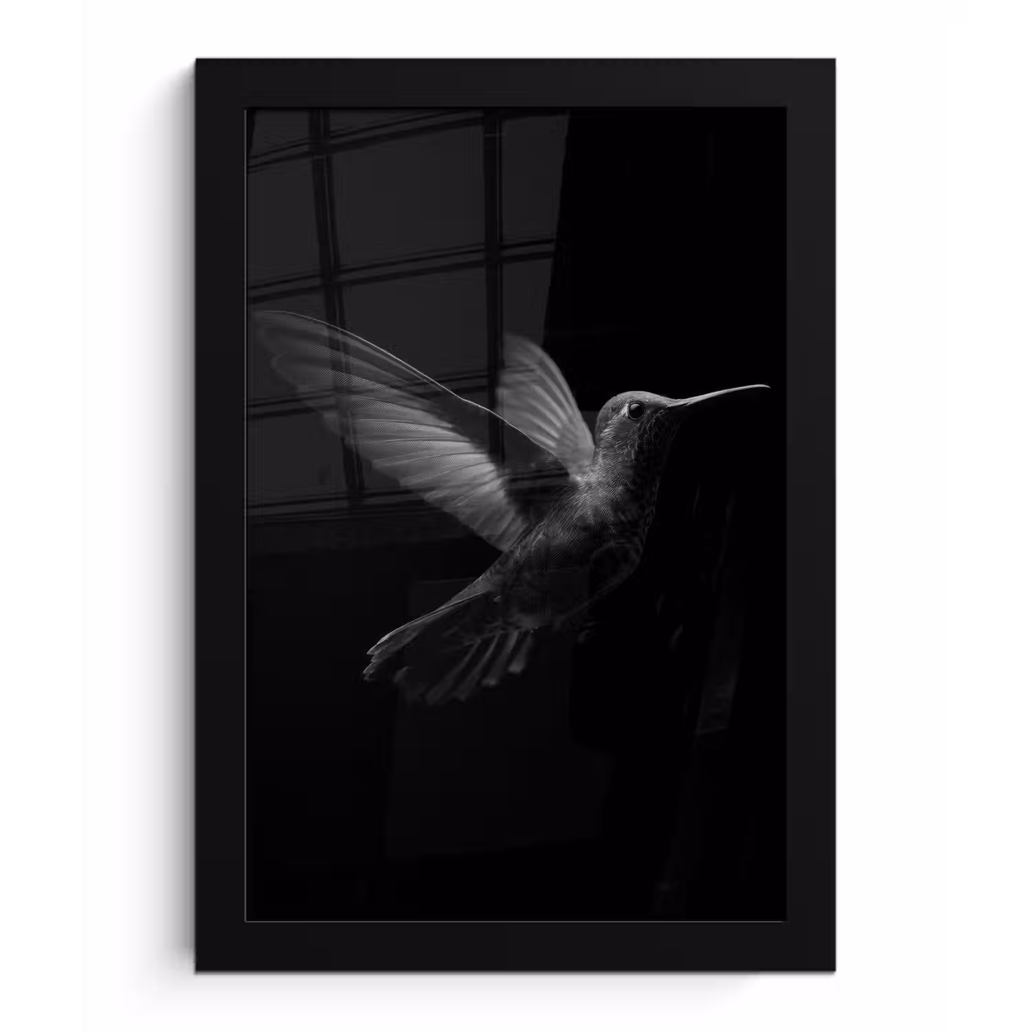 Kolibrie - Zwart - Dieren fotolijst zwart zonder passe partout klein -3d