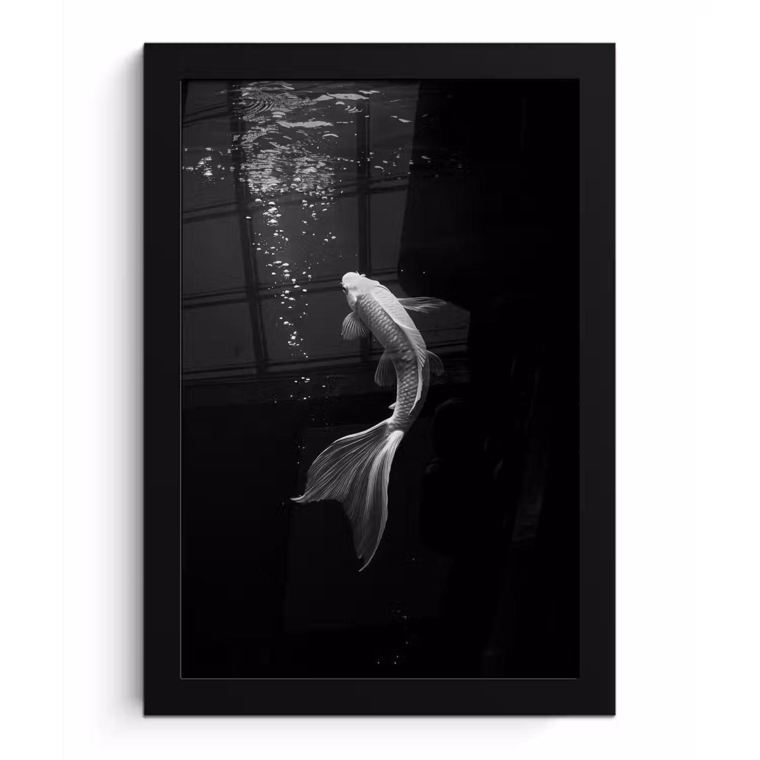 Koi - Vis - Wit - Zwart fotolijst zwart zonder passe partout klein -3d