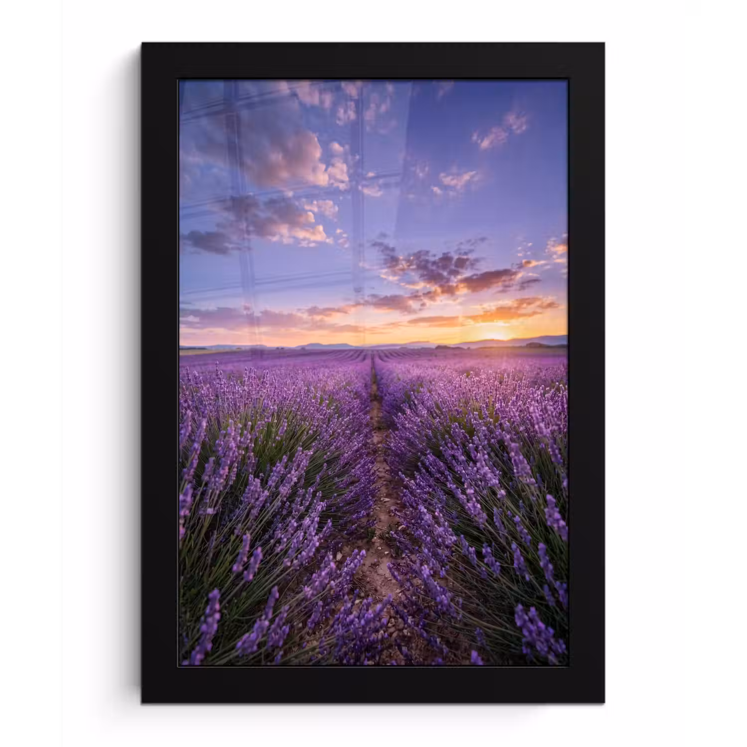 Lavendel - Veld - Natuur - Paars fotolijst zwart zonder passe partout klein -3d
