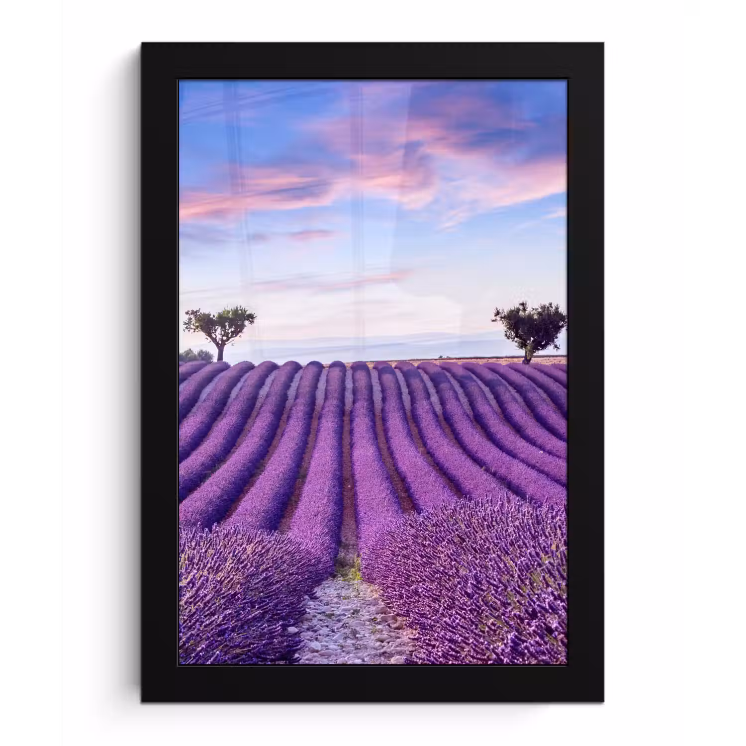 Lavendel - Natuur - Paars - Bomen - Bloemen fotolijst zwart zonder passe partout klein -3d
