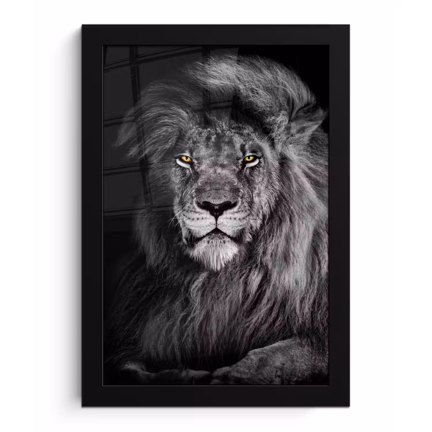 Leeuw - Ogen - Oranje - Zwart wit - Dieren - Portret fotolijst zwart zonder passe partout klein -3d