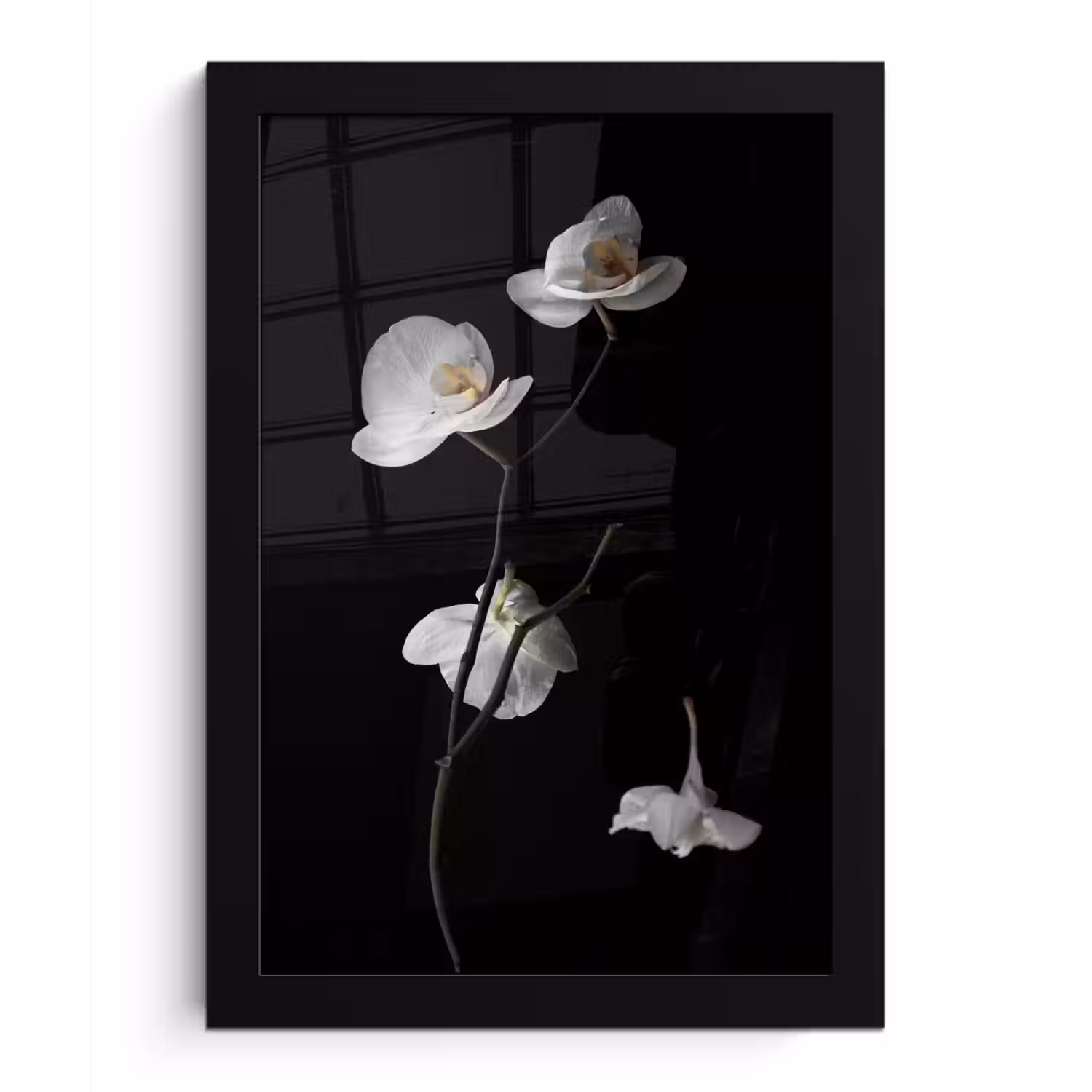 Orchidee - Bloemen - Zwart - Wit - Stilleven fotolijst zwart zonder passe partout klein -3d
