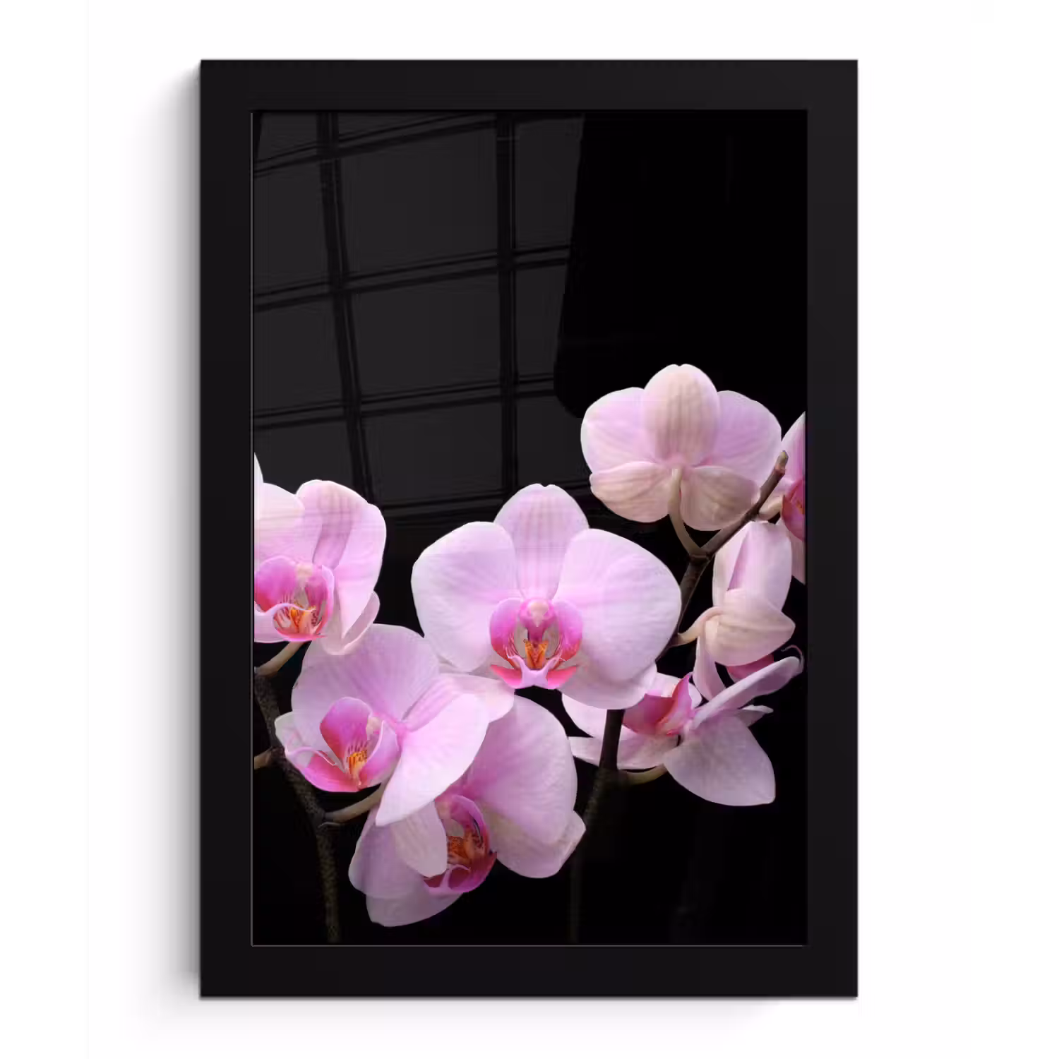 Orchidee - Bloemen - Roze - Flora fotolijst zwart zonder passe partout klein -3d