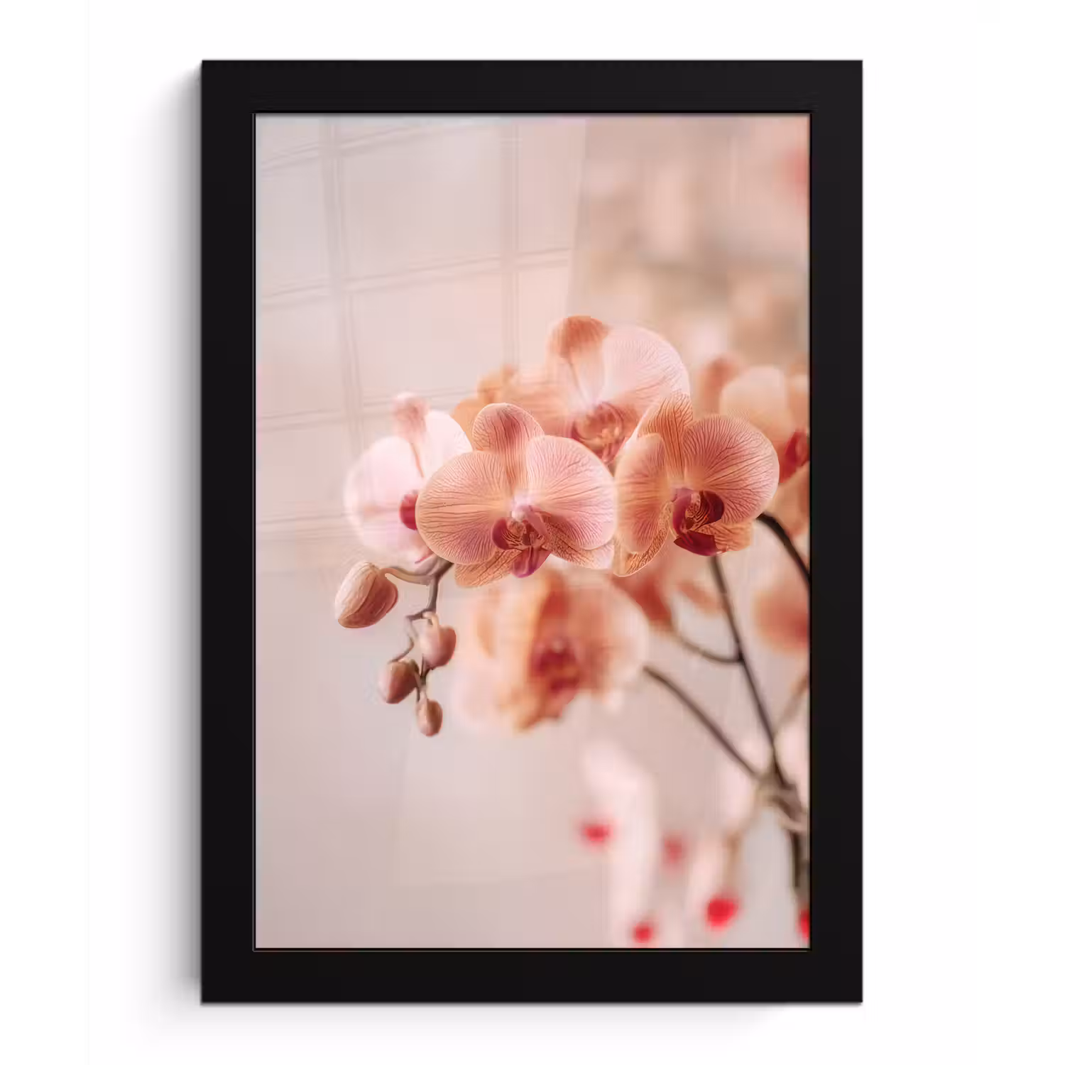 Orchidee - Bloemen - Roze - Bloemblaadjes fotolijst zwart zonder passe partout klein -3d