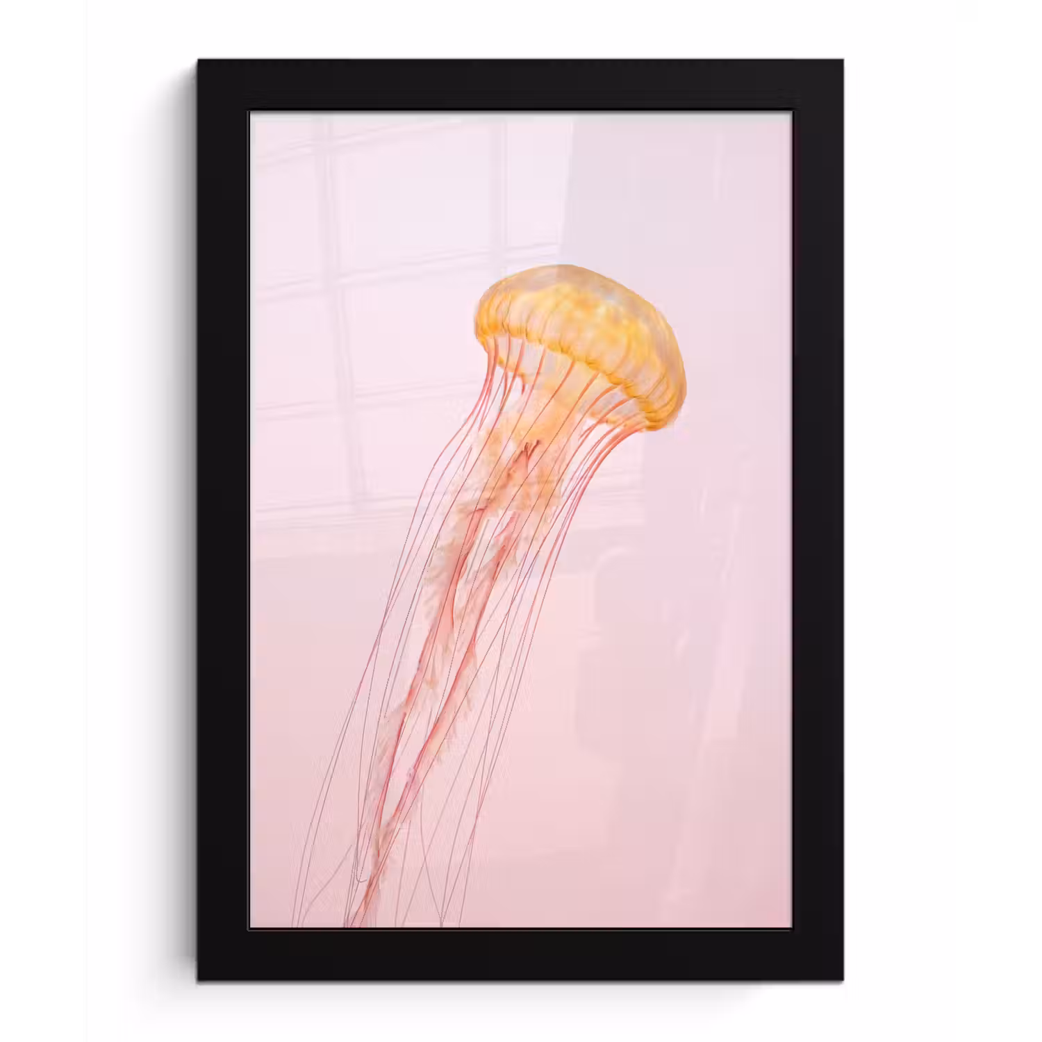 Sierlijk - Kwal - Roze fotolijst zwart zonder passe partout klein -3d