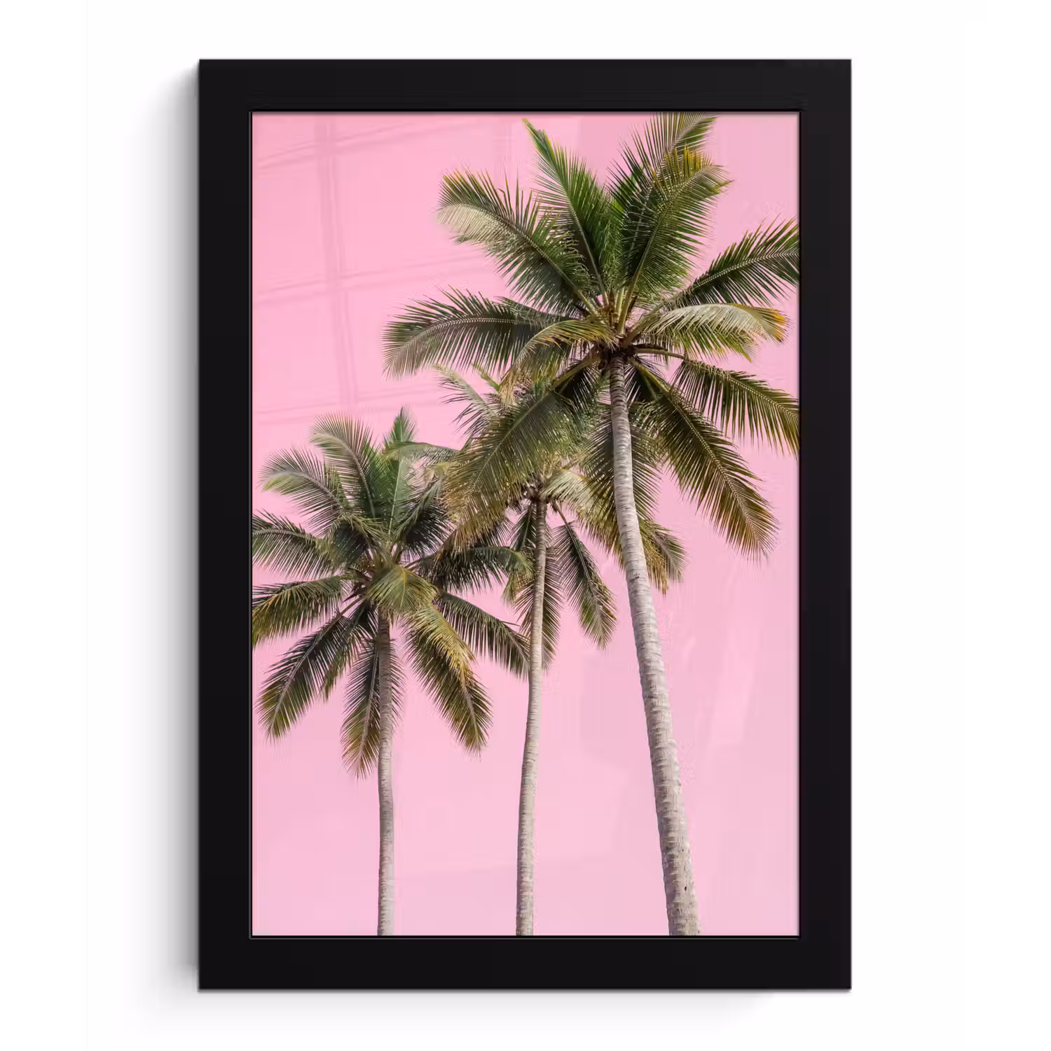 Palmboom - Tropisch - Pink fotolijst zwart zonder passe partout klein -3d