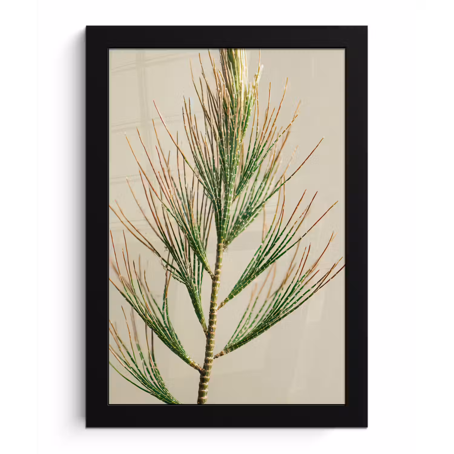 Dennentak - Naaldvormige bladeren - Lichtgroen fotolijst zwart zonder passe partout klein -3d