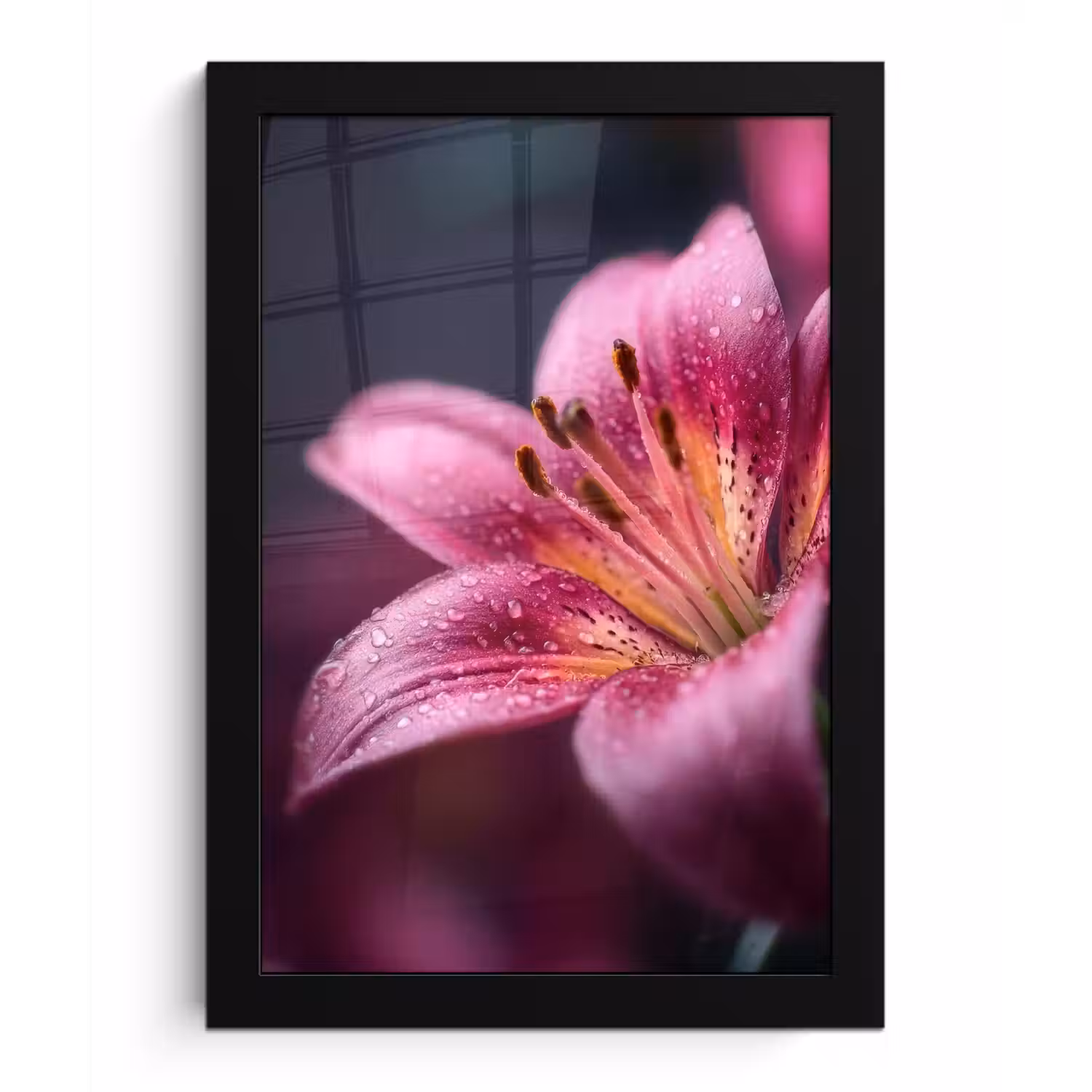 Roze - lelie - Dauwdruppels fotolijst zwart zonder passe partout klein -3d
