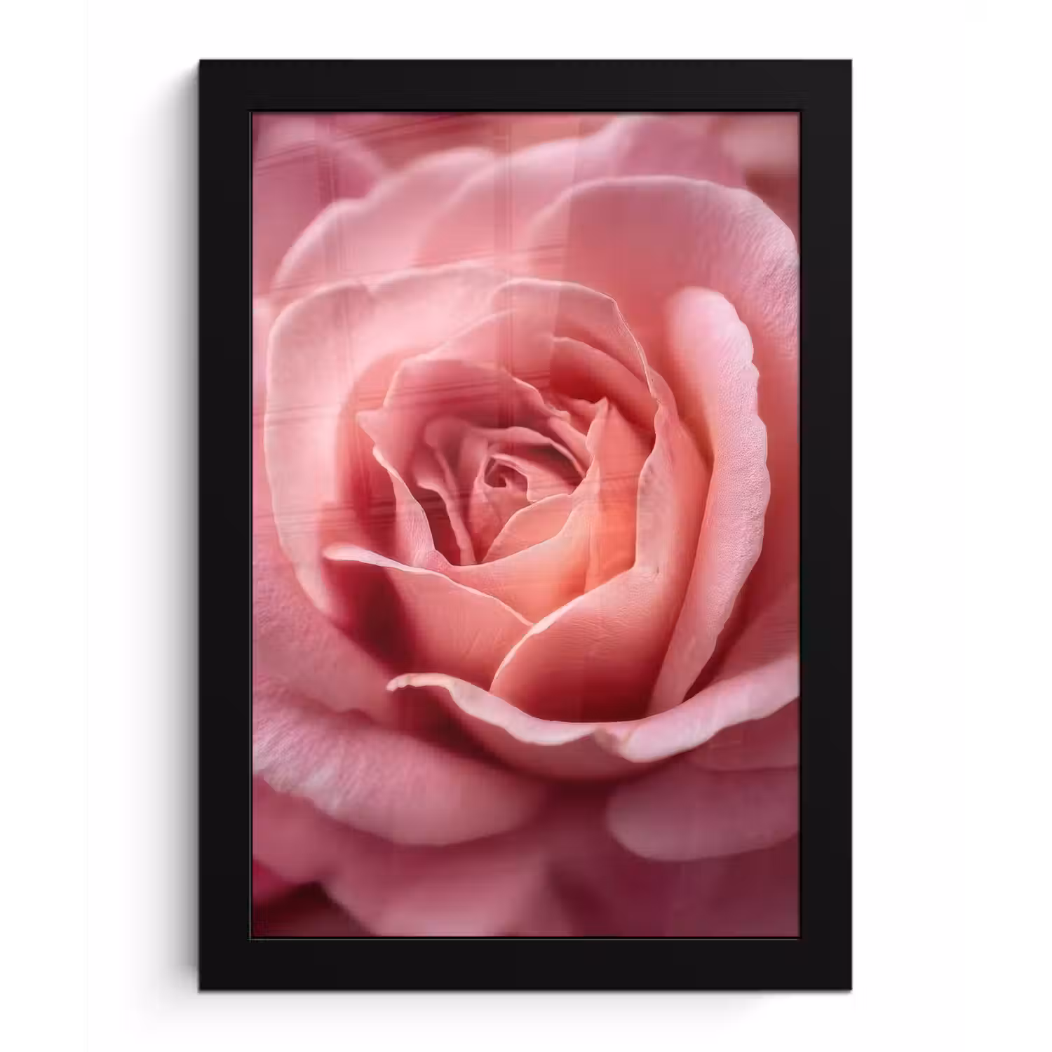 Roze - Roos - Romantisch fotolijst zwart zonder passe partout klein -3d