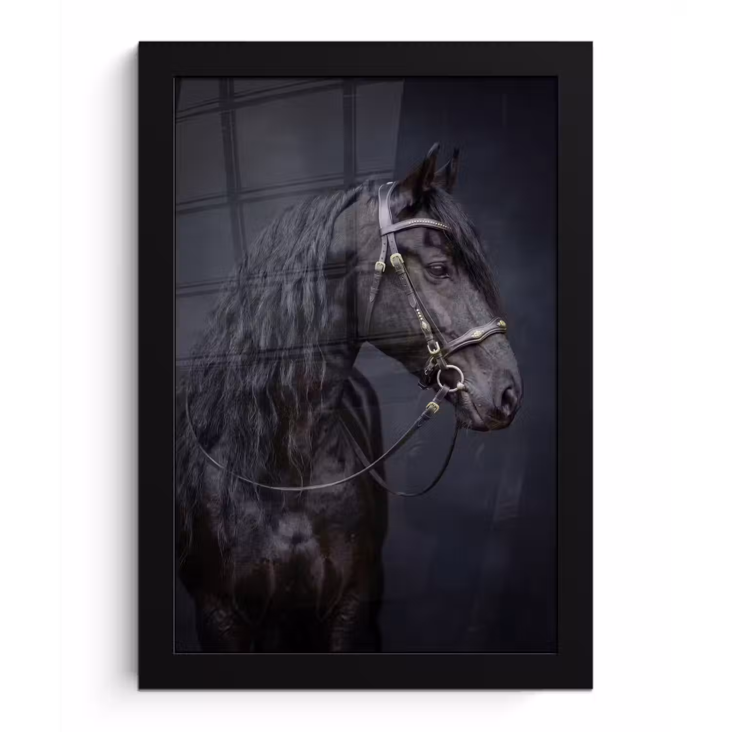 Portret - Paard - Donker fotolijst zwart zonder passe partout klein -3d