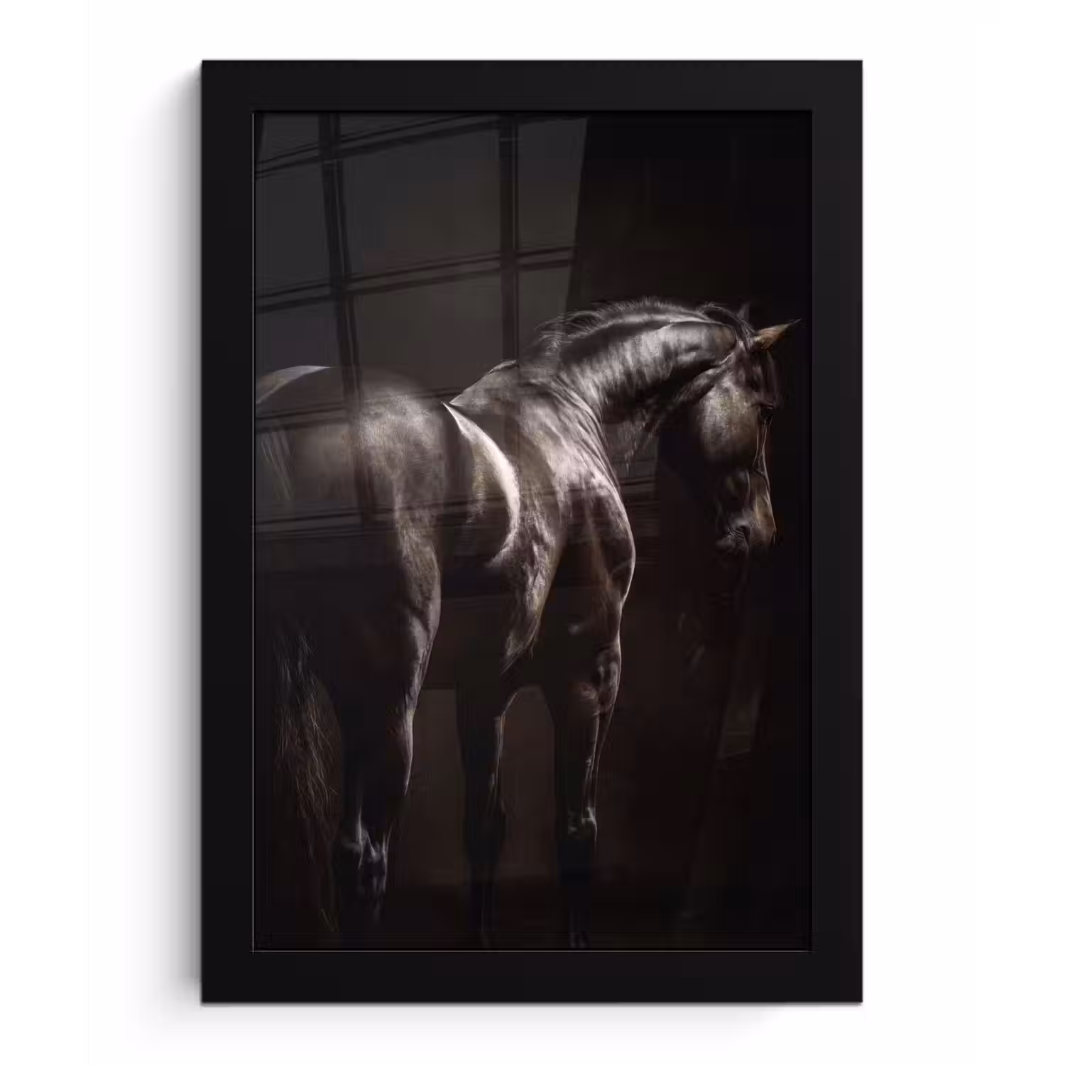 Krachtig - Paard - Donker fotolijst zwart zonder passe partout klein -3d