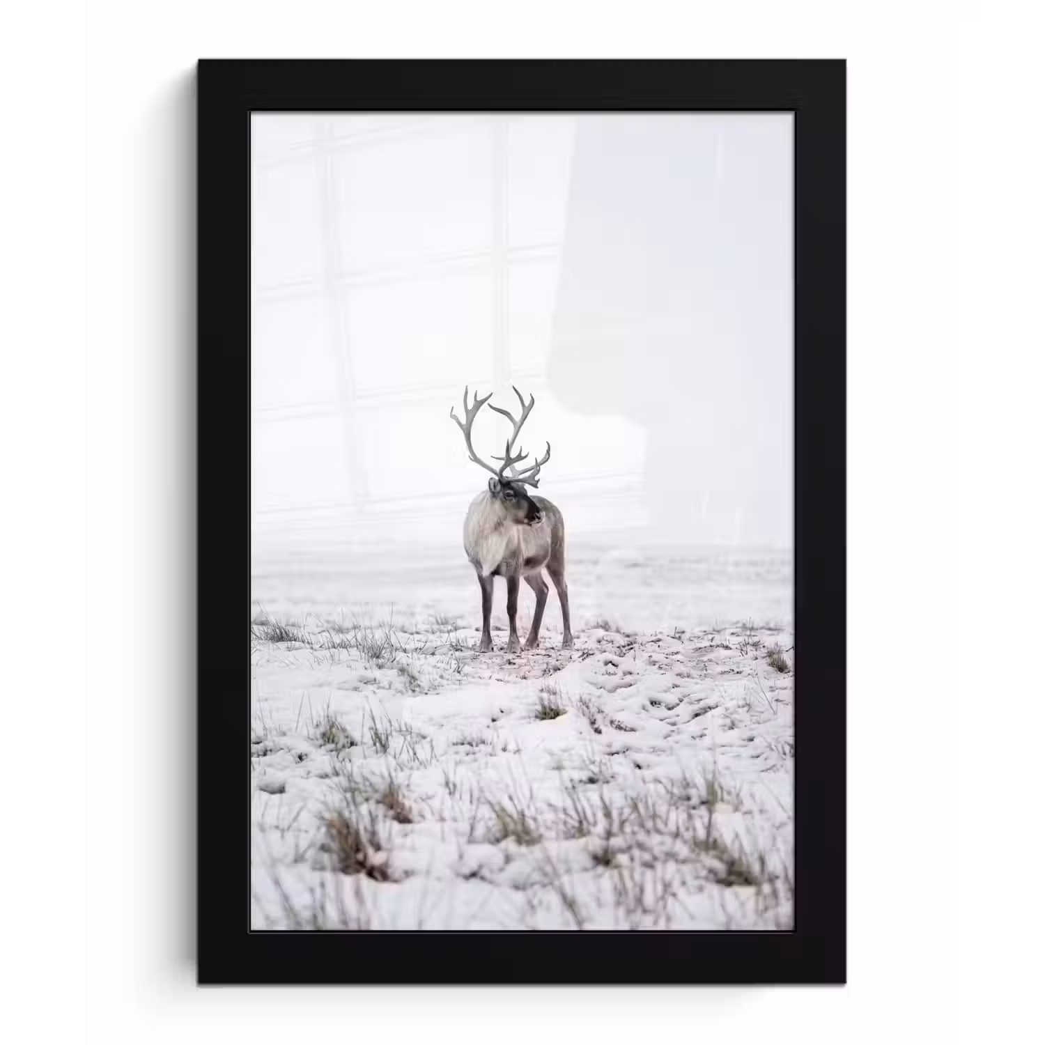 Rendier - Gewei - Sneeuw - Winter fotolijst zwart zonder passe partout klein -3d