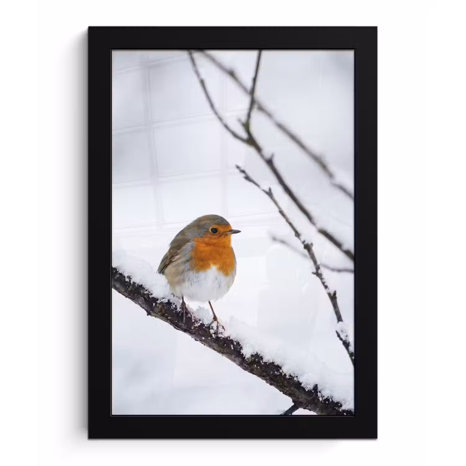 Roodborstje - Tak - Sneeuw - Winter - Levendig fotolijst zwart zonder passe partout klein -3d