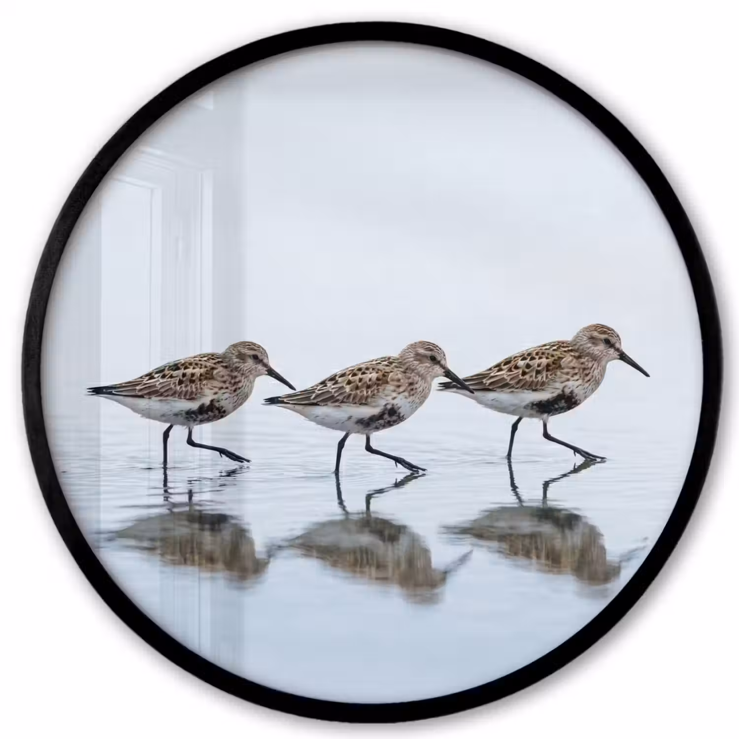 Vogels - Water - Grijs Fotolijst rond zonder passe partout klein -3d