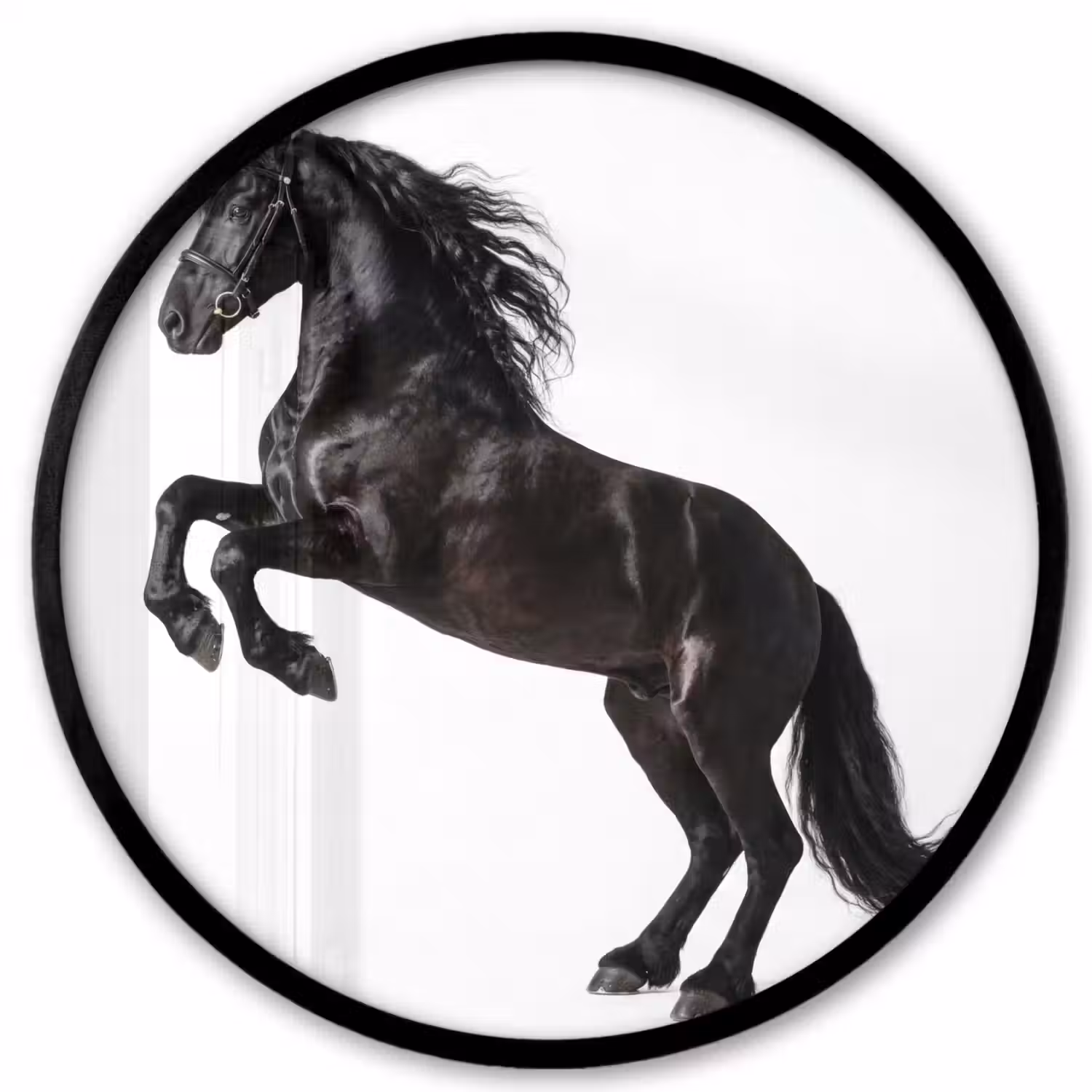 Zwart - Paard - Portret Fotolijst rond zonder passe partout klein -3d
