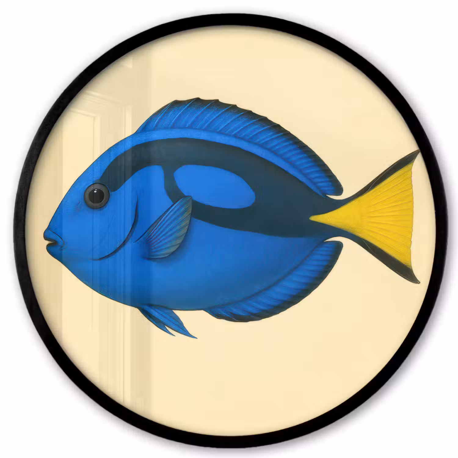 Blauw - Dory - Vis - Staartvin Fotolijst rond zonder passe partout klein -3d