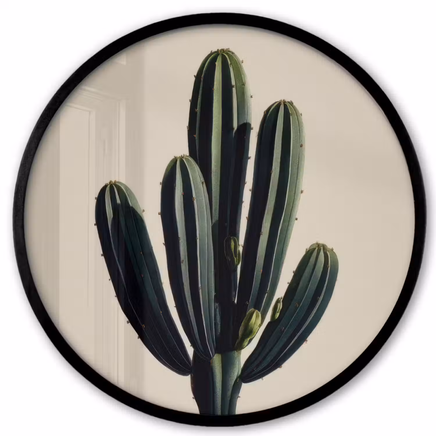 Cactus - Subtiel - Groen Fotolijst rond zonder passe partout klein -3d