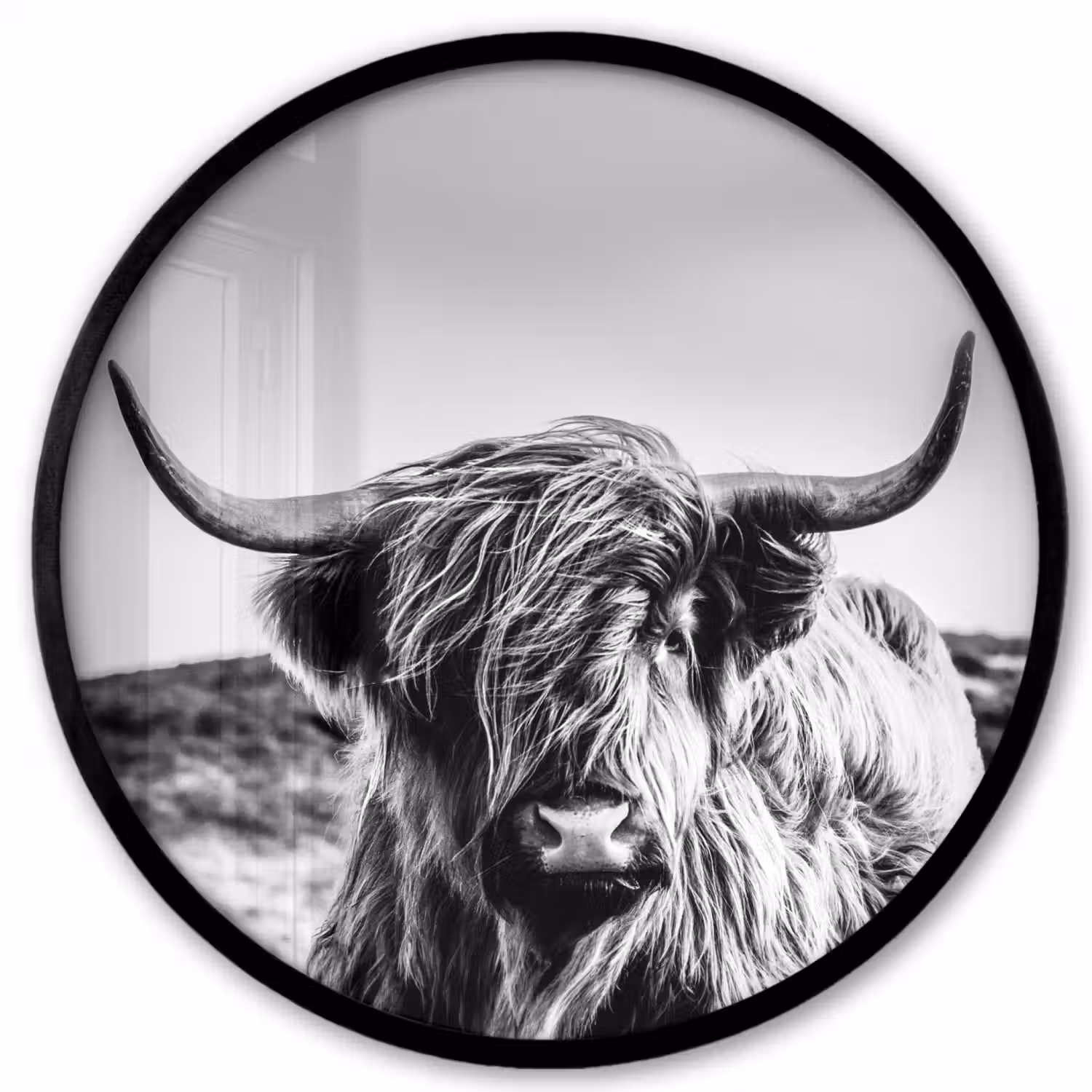 Koe - Schotse hooglander - Zwart - Wit - Dier - Natuur - Wild Fotolijst rond zonder passe partout klein -3d