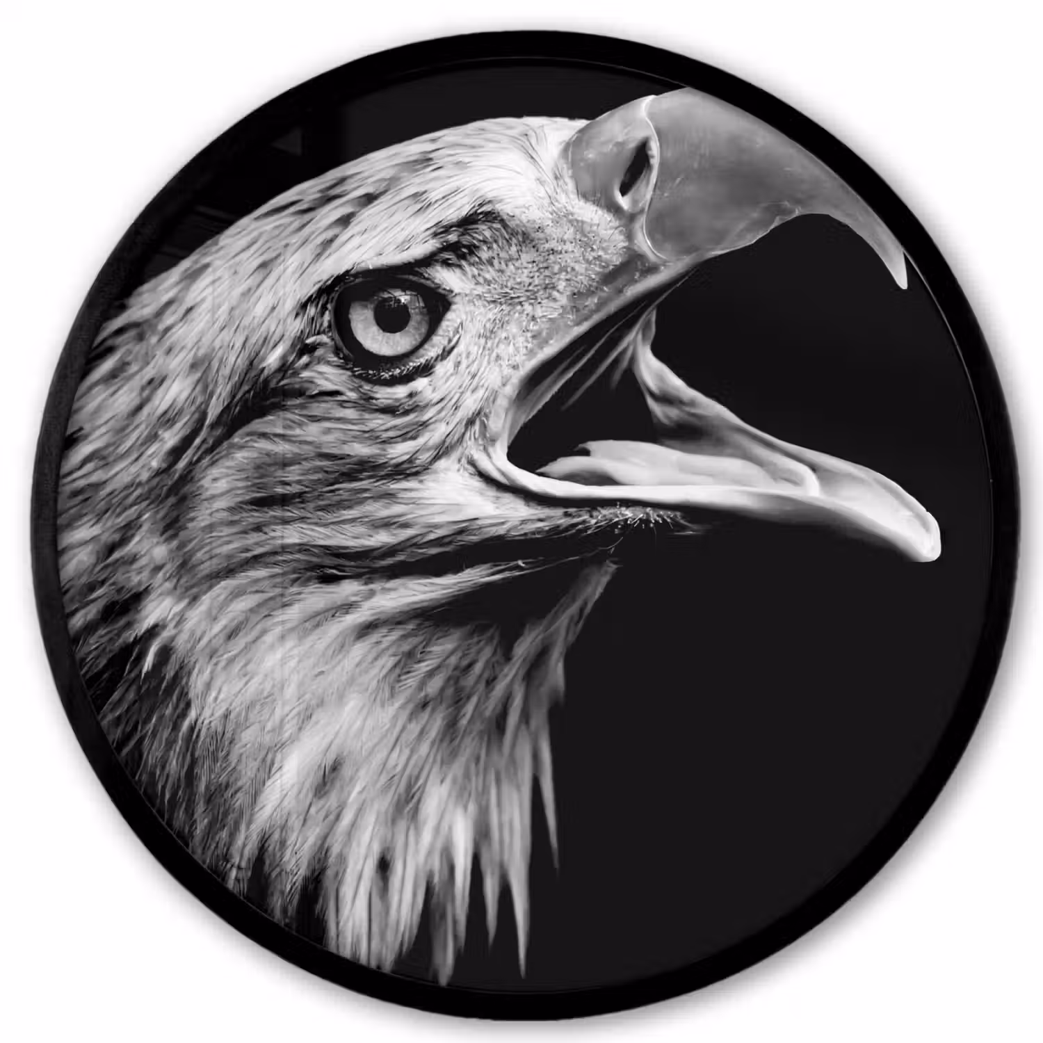 Adelaar - Portret - Roofvogels - Zwart - Wit - Vogel Fotolijst rond zonder passe partout klein -3d
