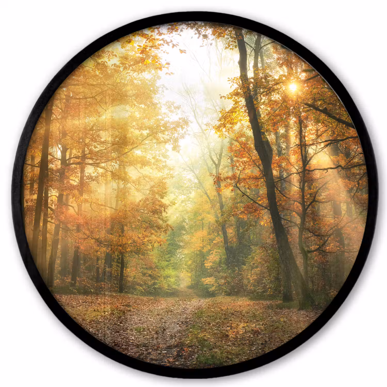 Bos - Herfst - Zon - Landschap - Natuur - Bomen - Bladeren Fotolijst rond zonder passe partout klein -3d