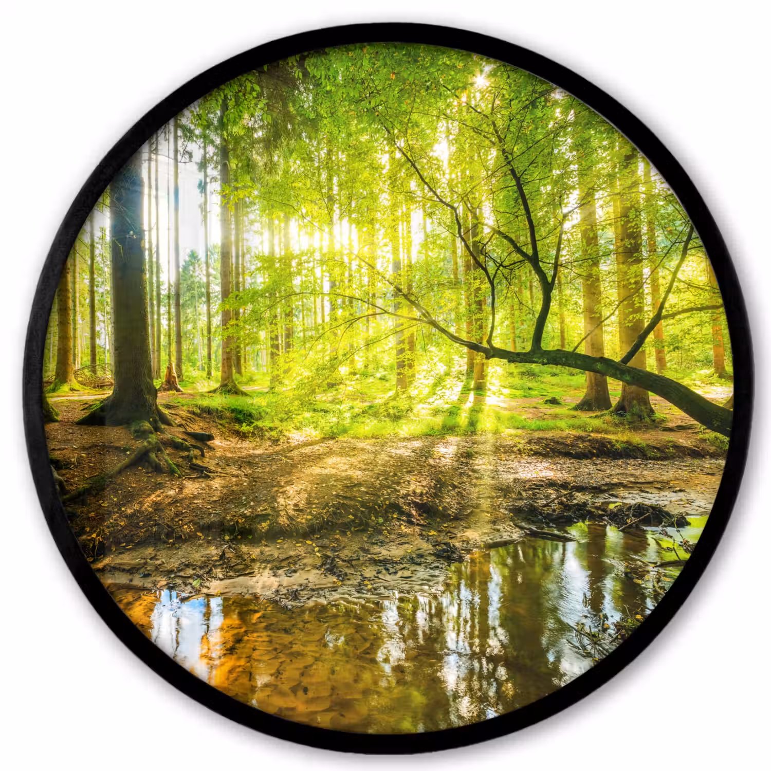 Bos - Landschap - Water - Bomen - Zon - Groen - Natuur Fotolijst rond zonder passe partout klein -3d
