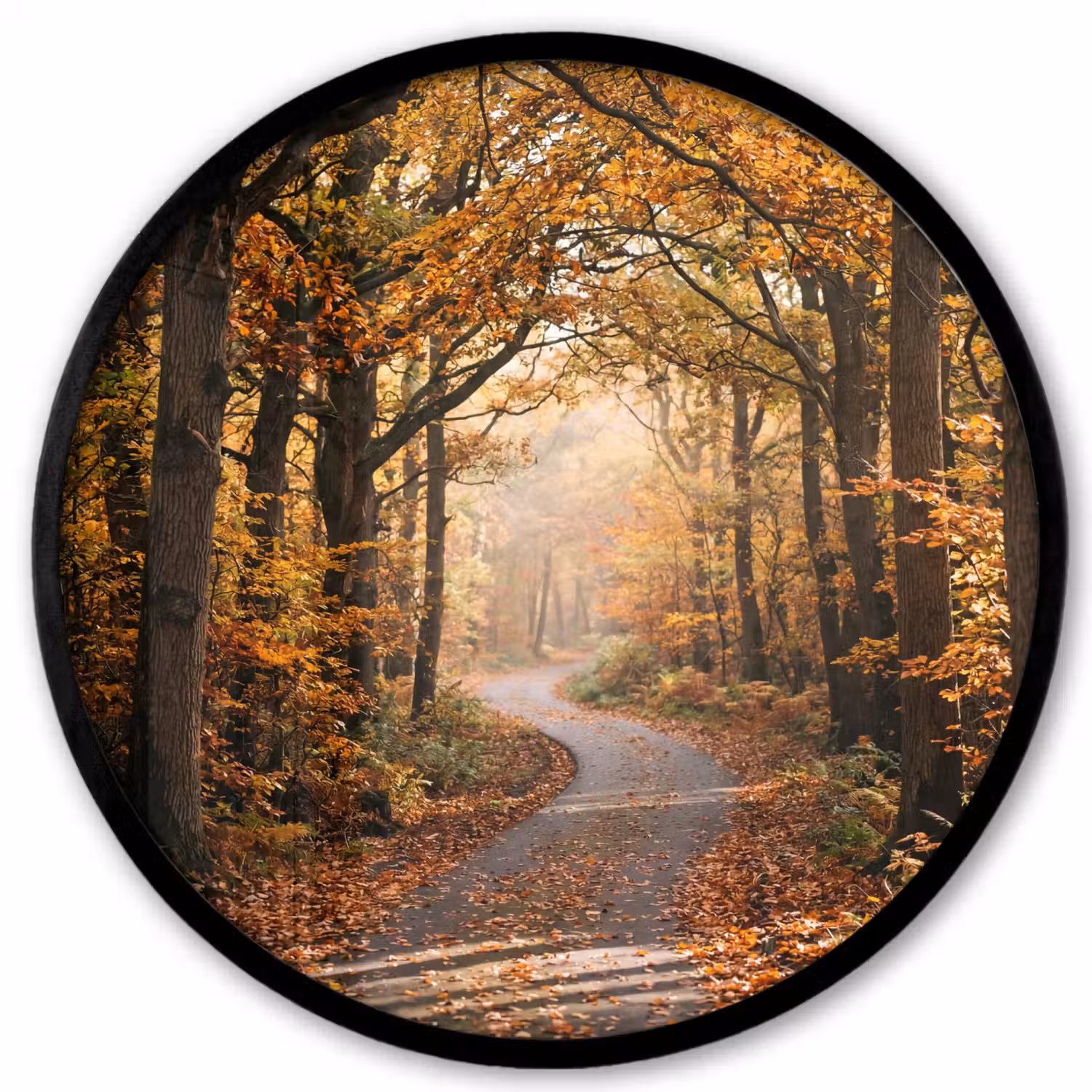 Bospad - Herfstbos - Bladeren - Oranje - Nostalgisch Fotolijst rond zonder passe partout klein -3d
