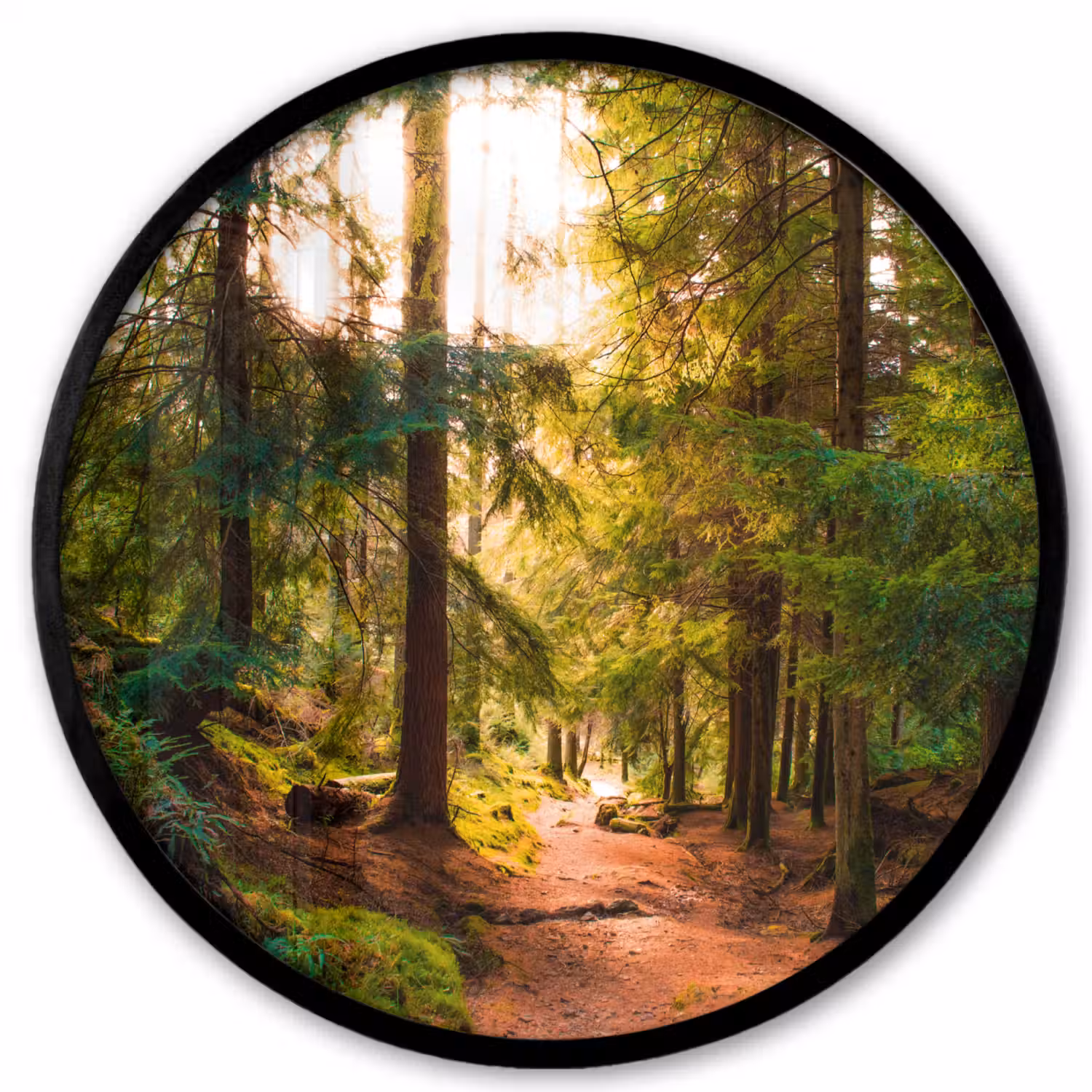 Bos - Pad - Bomen - Groen - Zon - Natuur Fotolijst rond zonder passe partout klein -3d