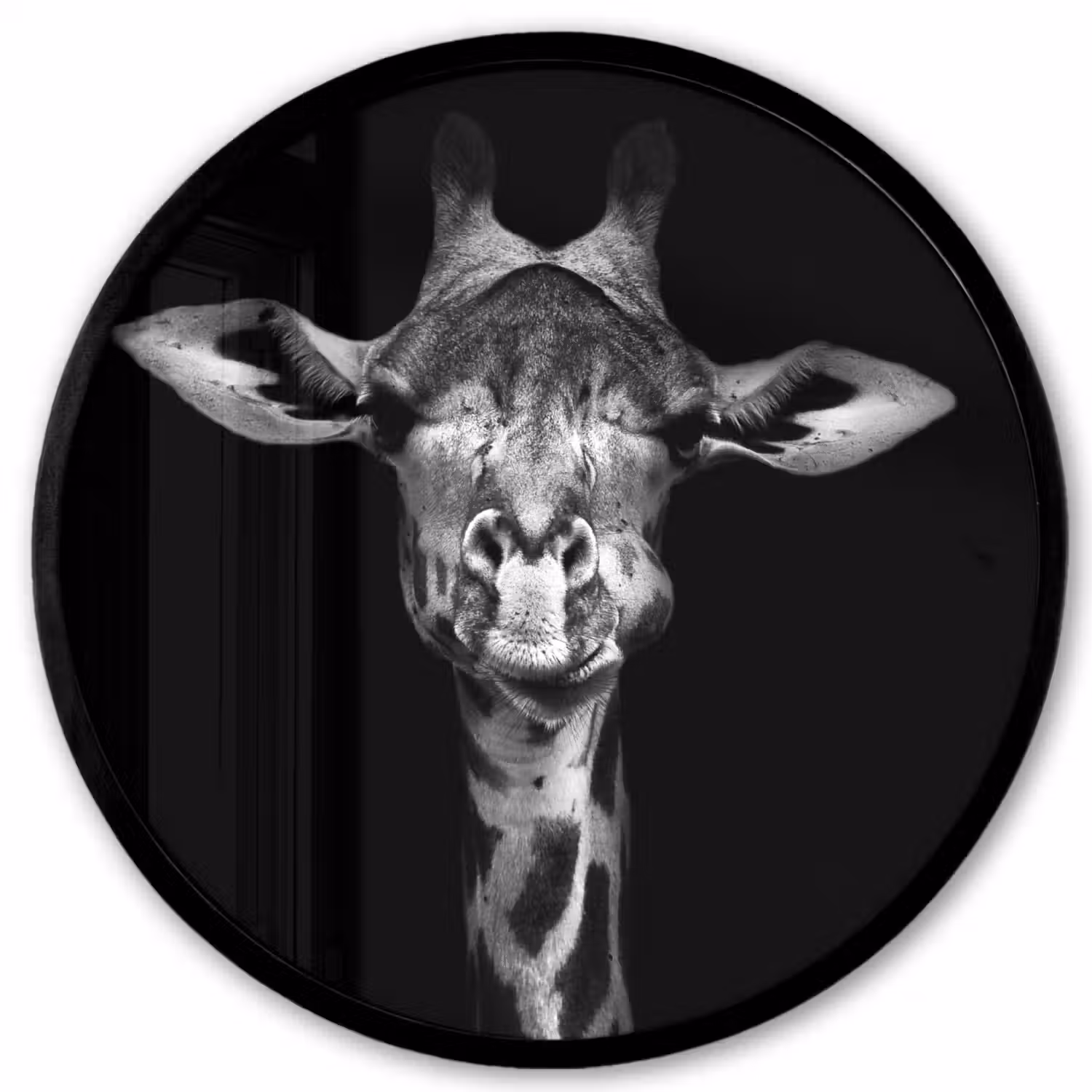 Giraffe - Portret - Dieren - Zwart - Wit Fotolijst rond zonder passe partout klein -3d