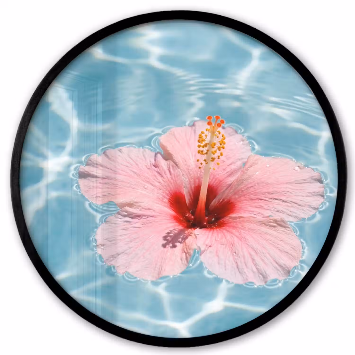 Hibiscus - Water - Roze Fotolijst rond zonder passe partout klein -3d