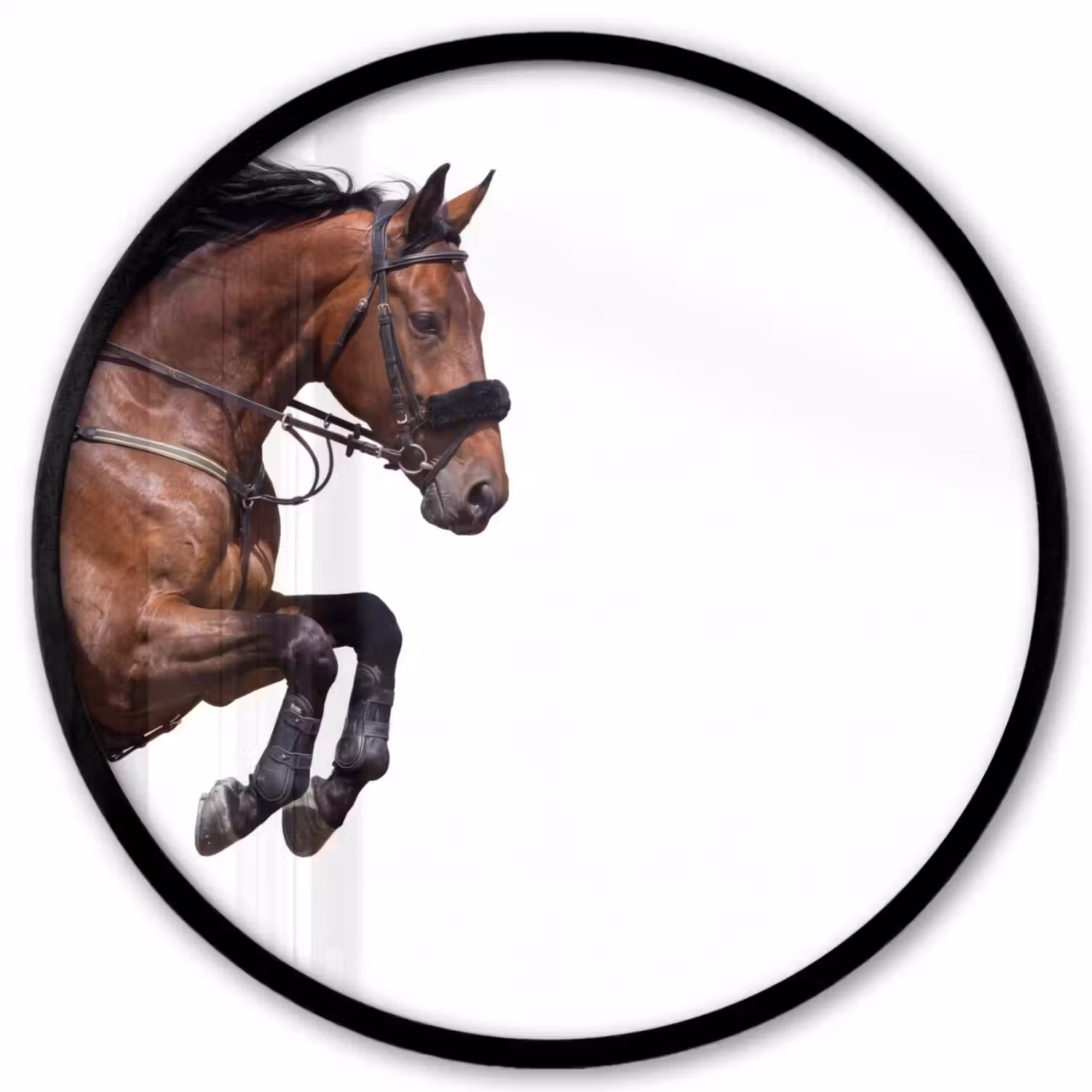 Paard - Springen - Modern Fotolijst rond zonder passe partout klein -3d