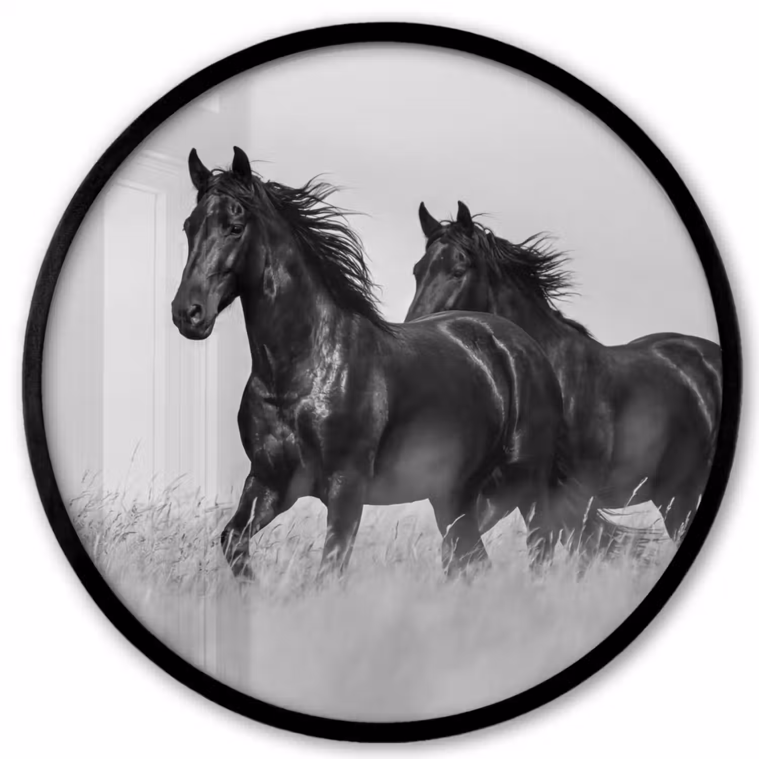 Paarden - Gras - Zwart - Wit Fotolijst rond zonder passe partout klein -3d