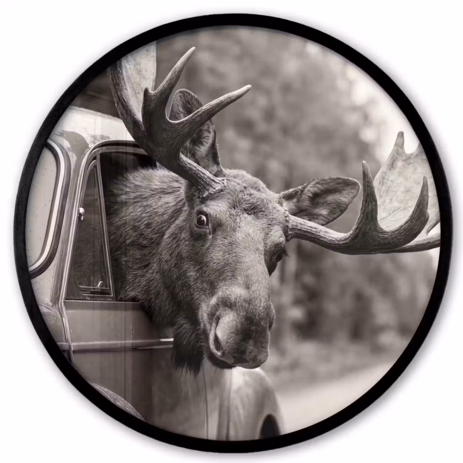 Eland - Auto - Gewei - Zwart - Wit Fotolijst rond zonder passe partout klein -3d