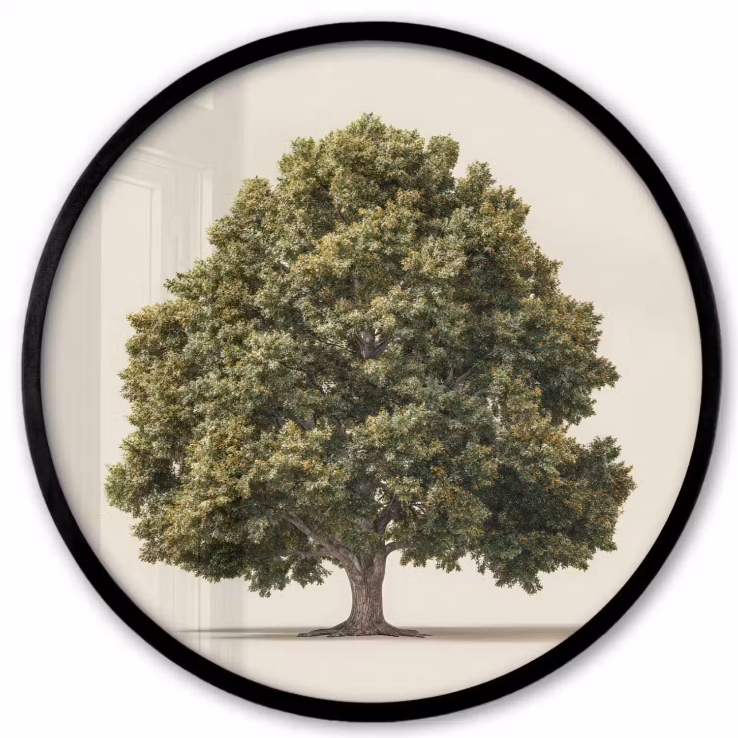 Eikenboom - Groen - Lichte achtergrond Fotolijst rond zonder passe partout klein -3d