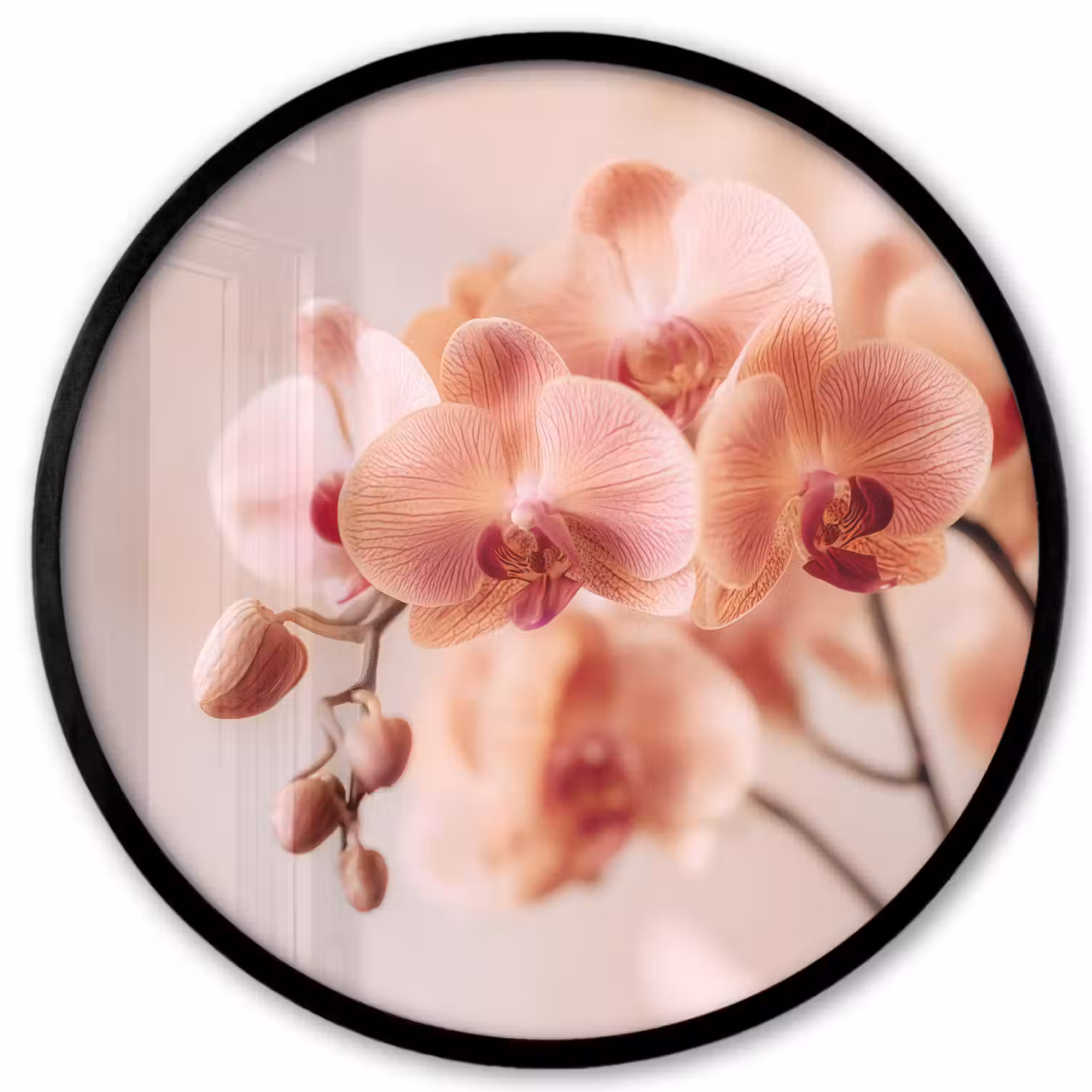 Orchidee - Bloemen - Roze - Bloemblaadjes Fotolijst rond zonder passe partout klein -3d