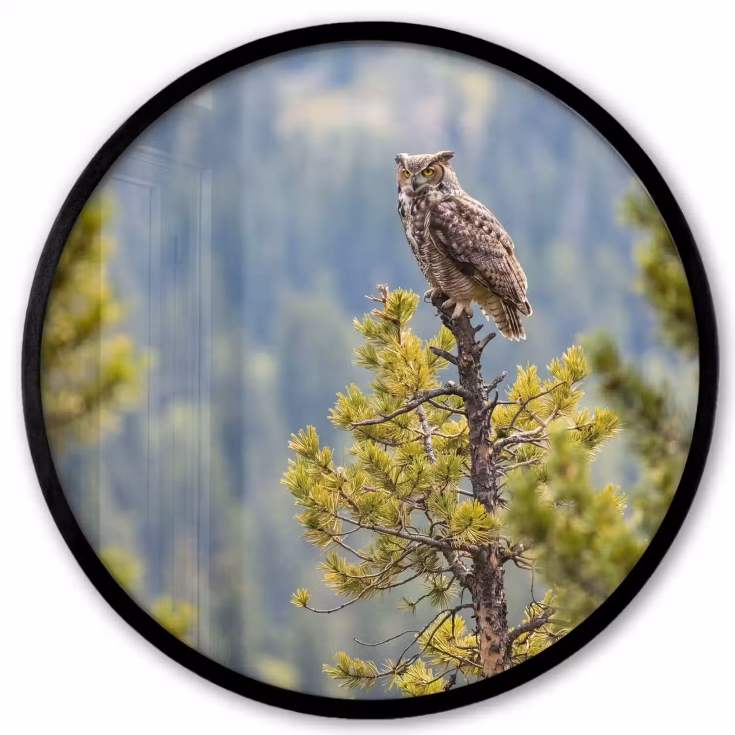 Uil - Oehoe - Bomen - Natuur Fotolijst rond zonder passe partout klein -3d