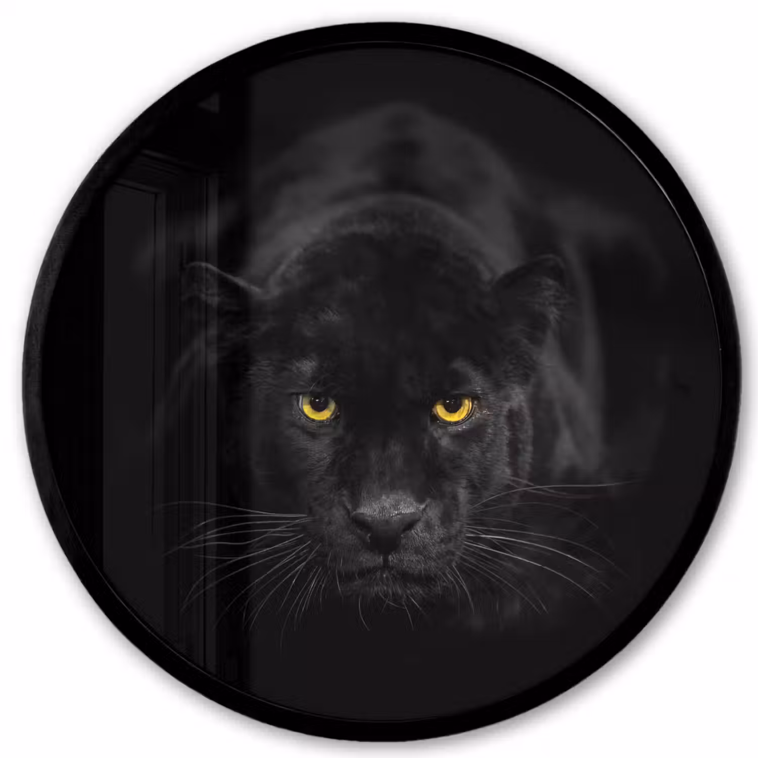 Panter - Dieren - Zwart - Ogen Fotolijst rond zonder passe partout klein -3d