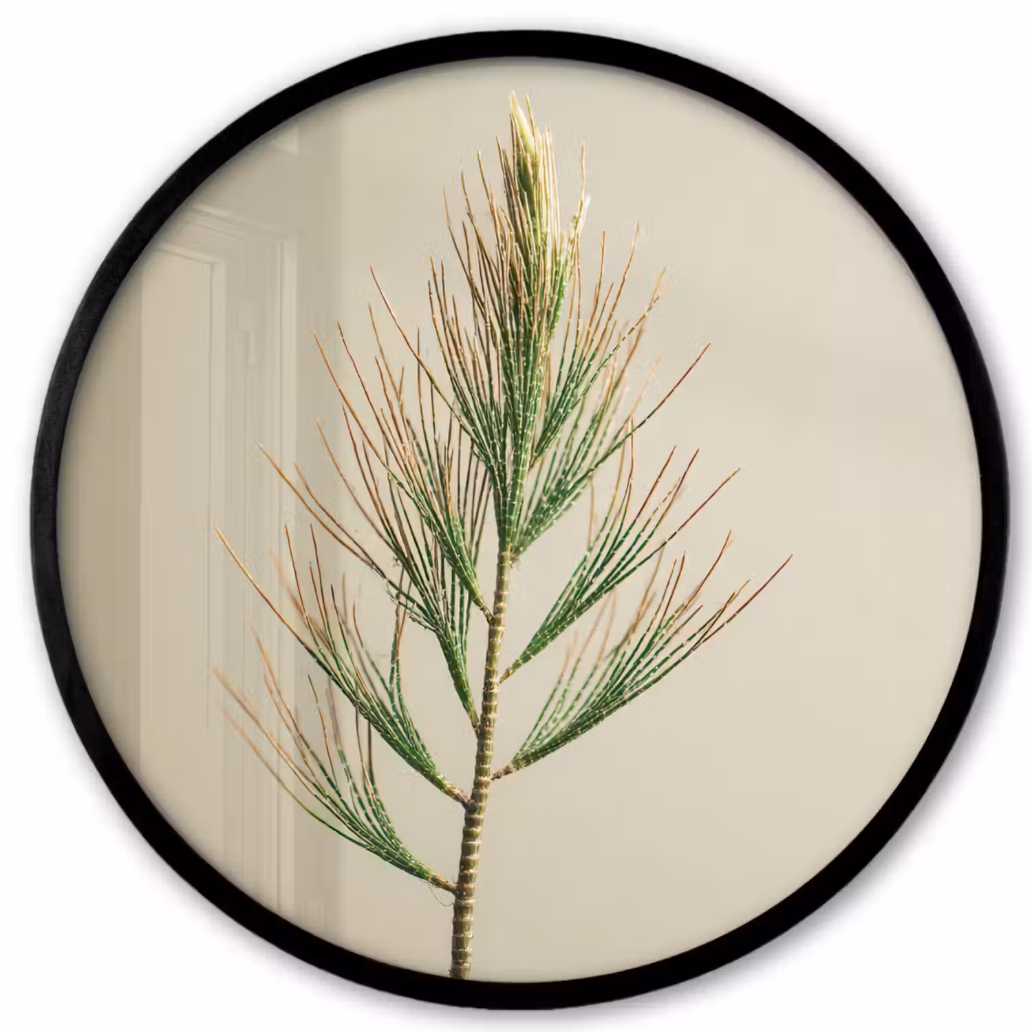 Dennentak - Naaldvormige bladeren - Lichtgroen Fotolijst rond zonder passe partout klein -3d
