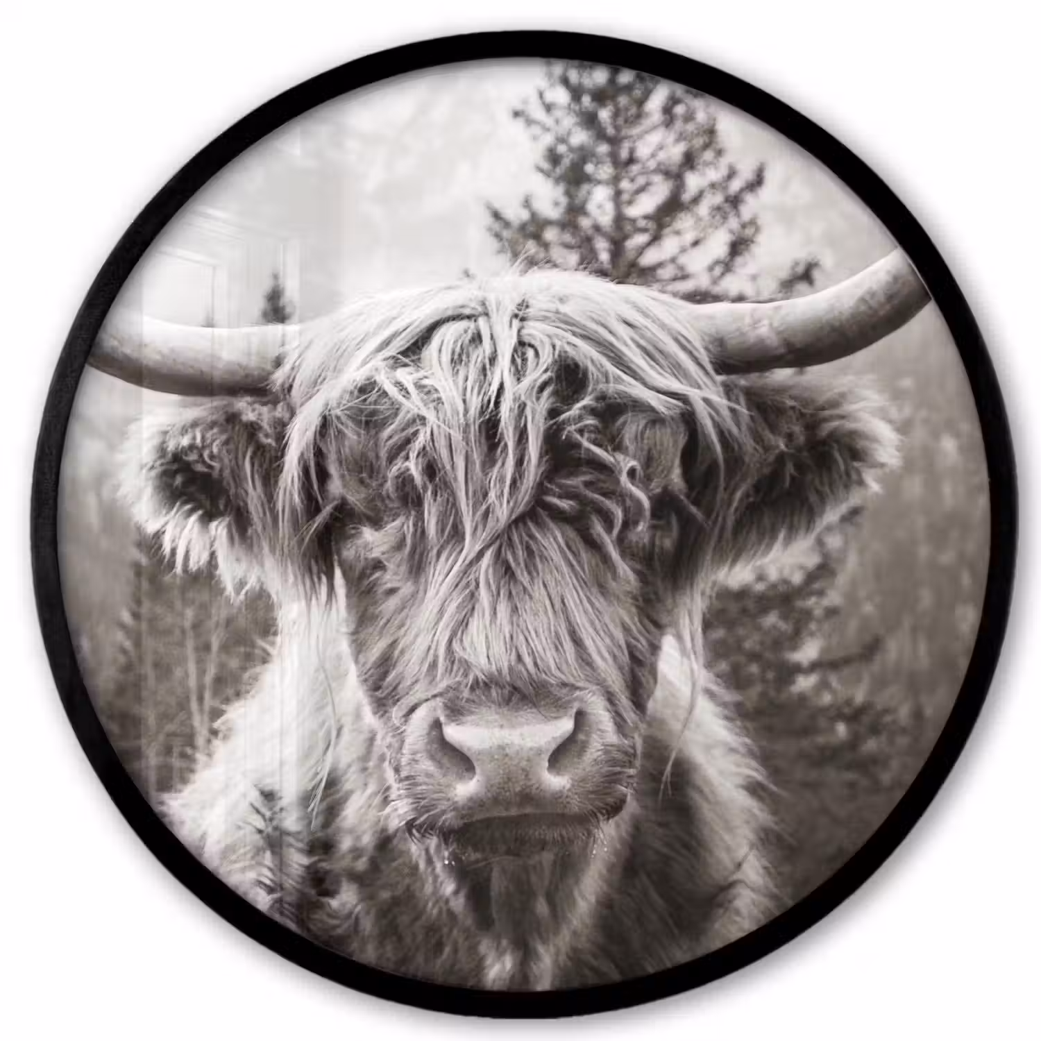 Schotse hooglander - Koe - Dieren - Zwart - Wit Fotolijst rond zonder passe partout klein -3d