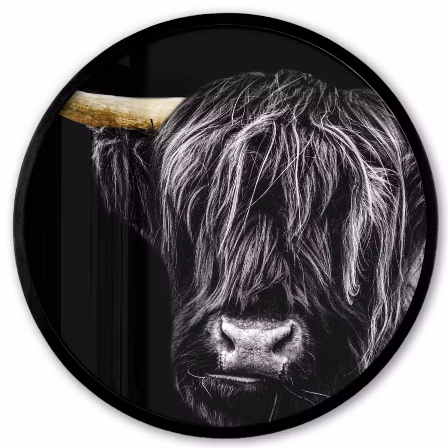 Schotse hooglander - Goud - Vacht - Dieren - Koe Fotolijst rond zonder passe partout klein -3d
