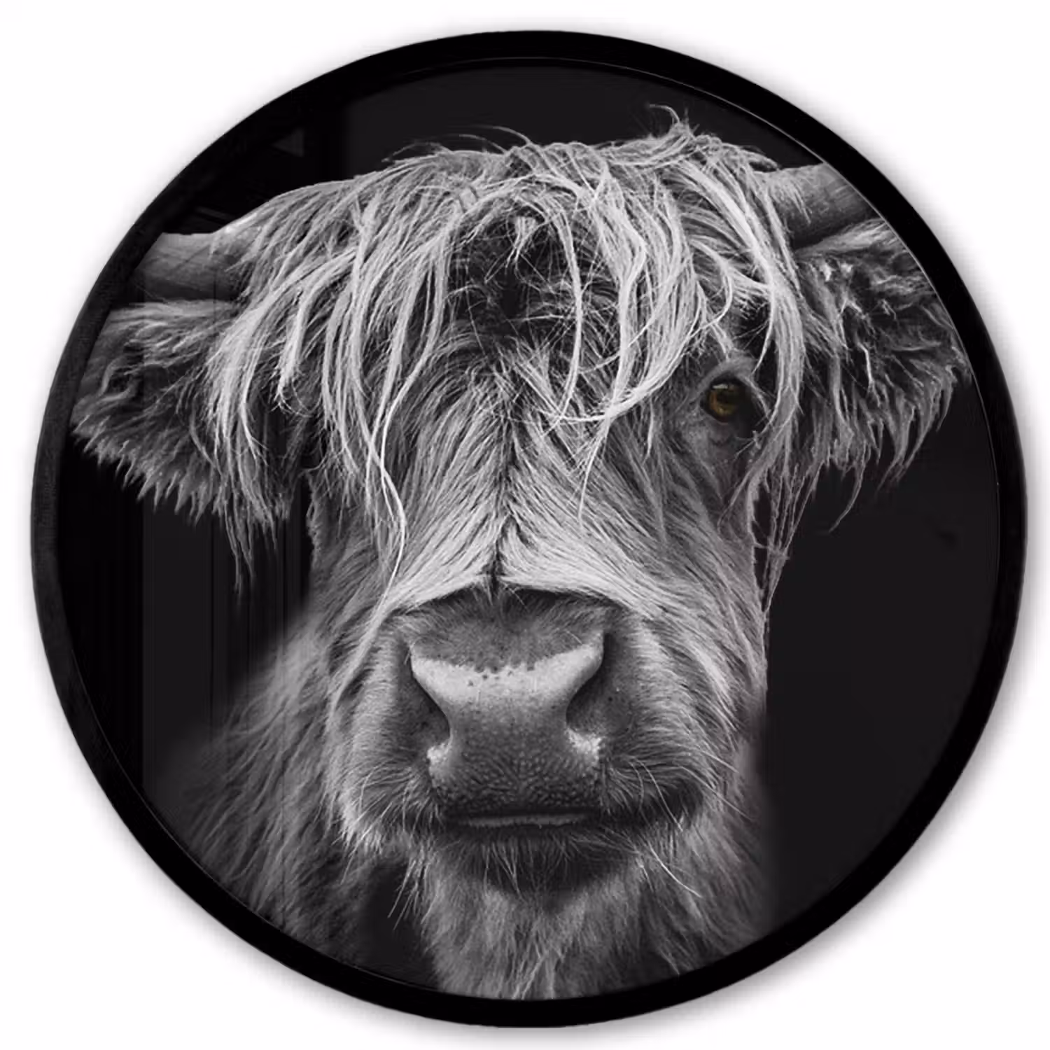 Schotse Hooglander - Horens - Zwart - Wit - Koe - Wild - Dieren Fotolijst rond zonder passe partout klein -3d