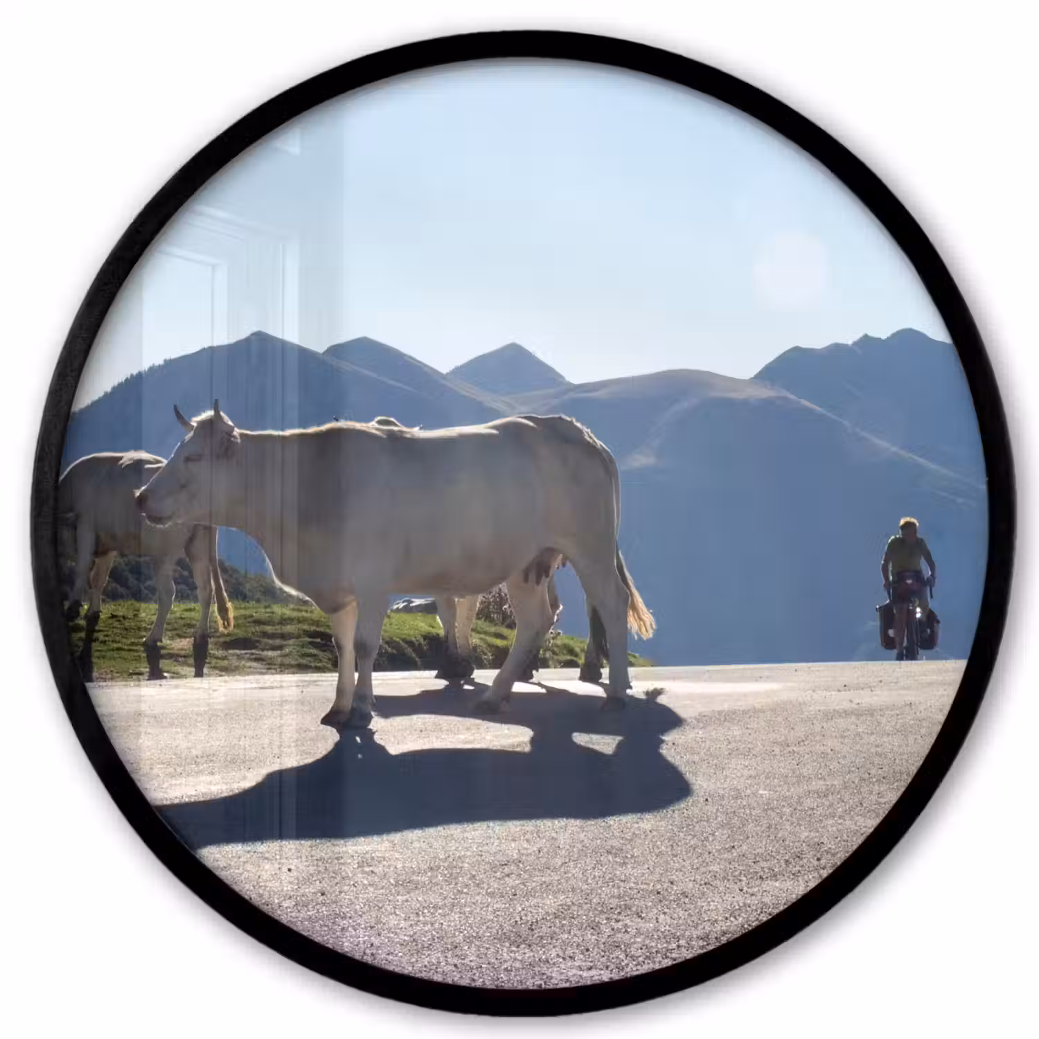 Schotse hooglander - Licht - Berg - Natuur Fotolijst rond zonder passe partout klein -3d